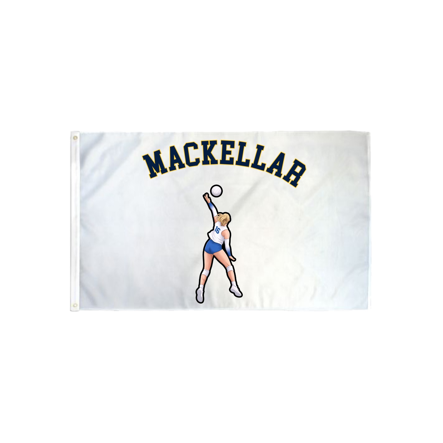 3x5 Flag — Shirsey Arch in Classic