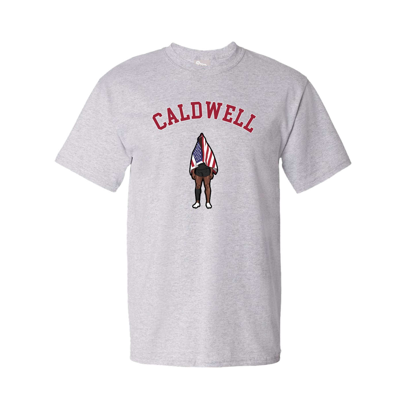 Tee — Shirsey Arch in Grey
