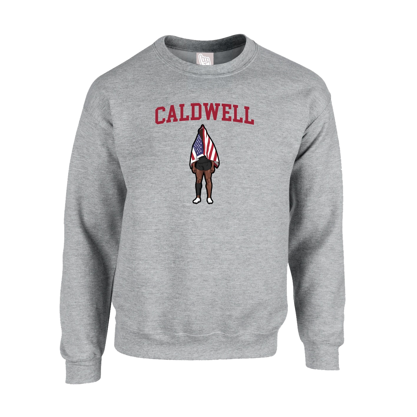 Fleece Crew — Shirsey in Grey