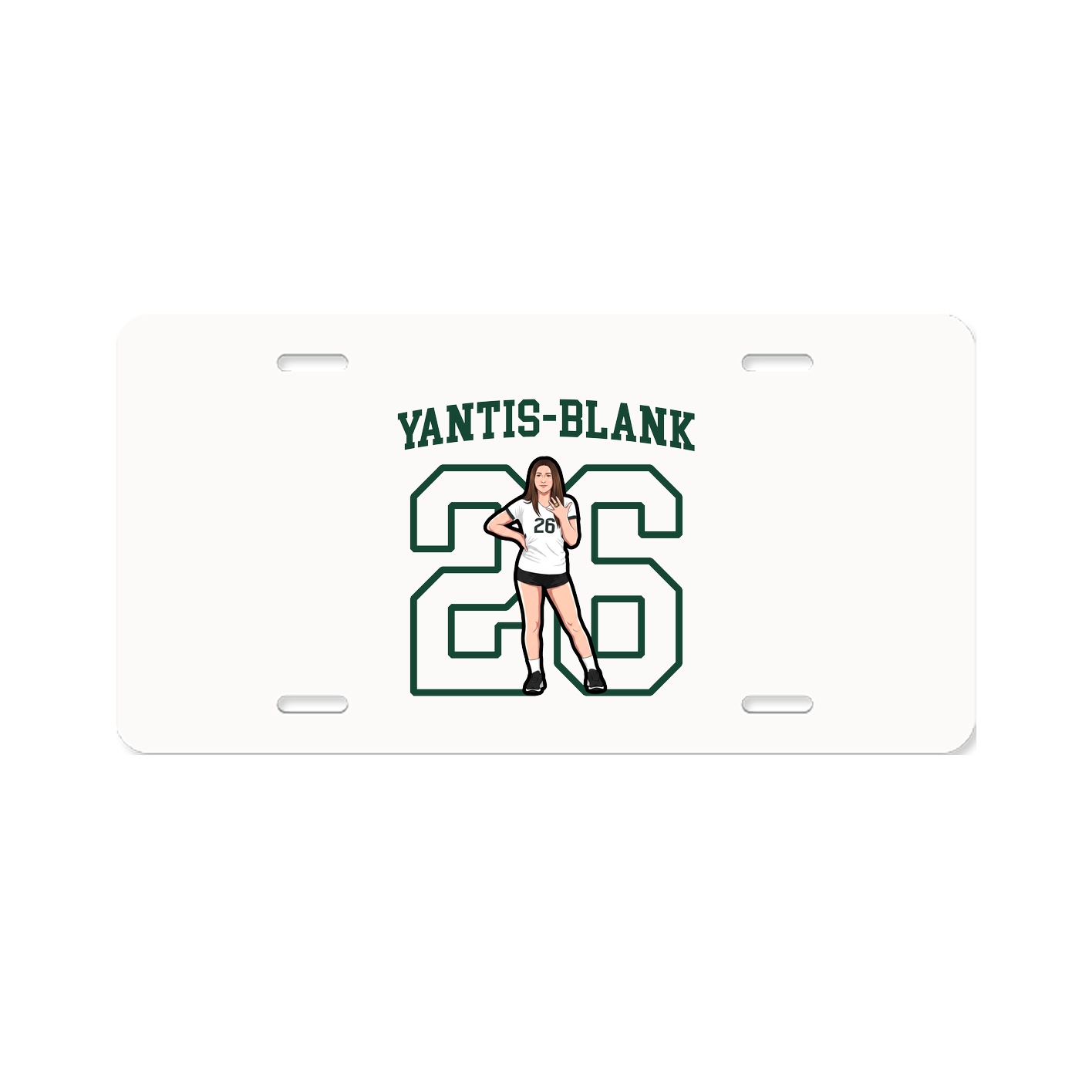 Aluminum License Plate