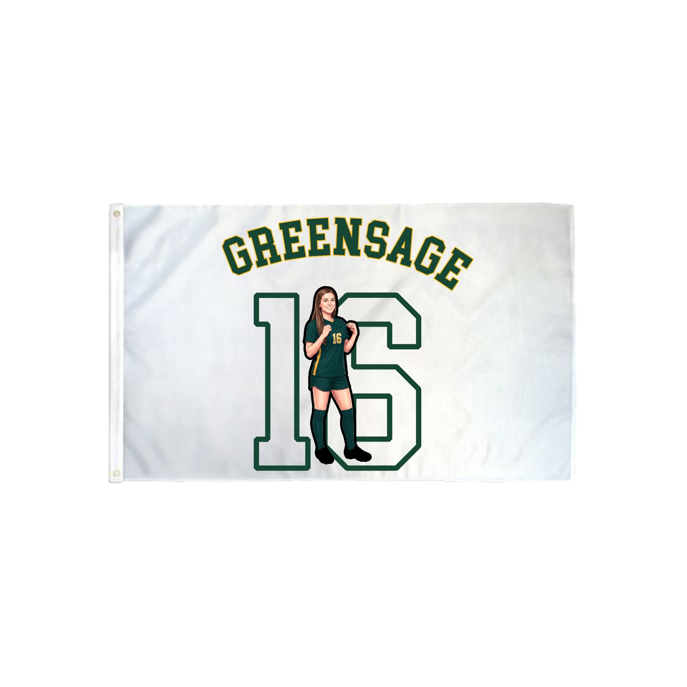 3x5 Flag — Shirsey Arch in Classic