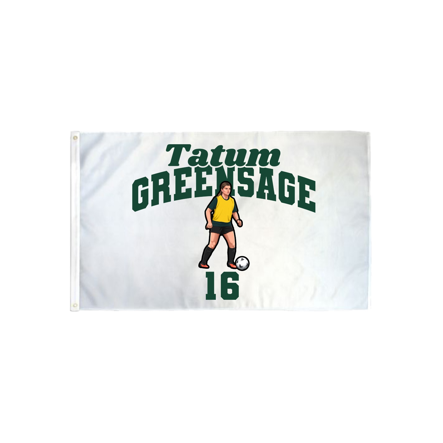 3x5 Flag — Signature Arch in Classic
