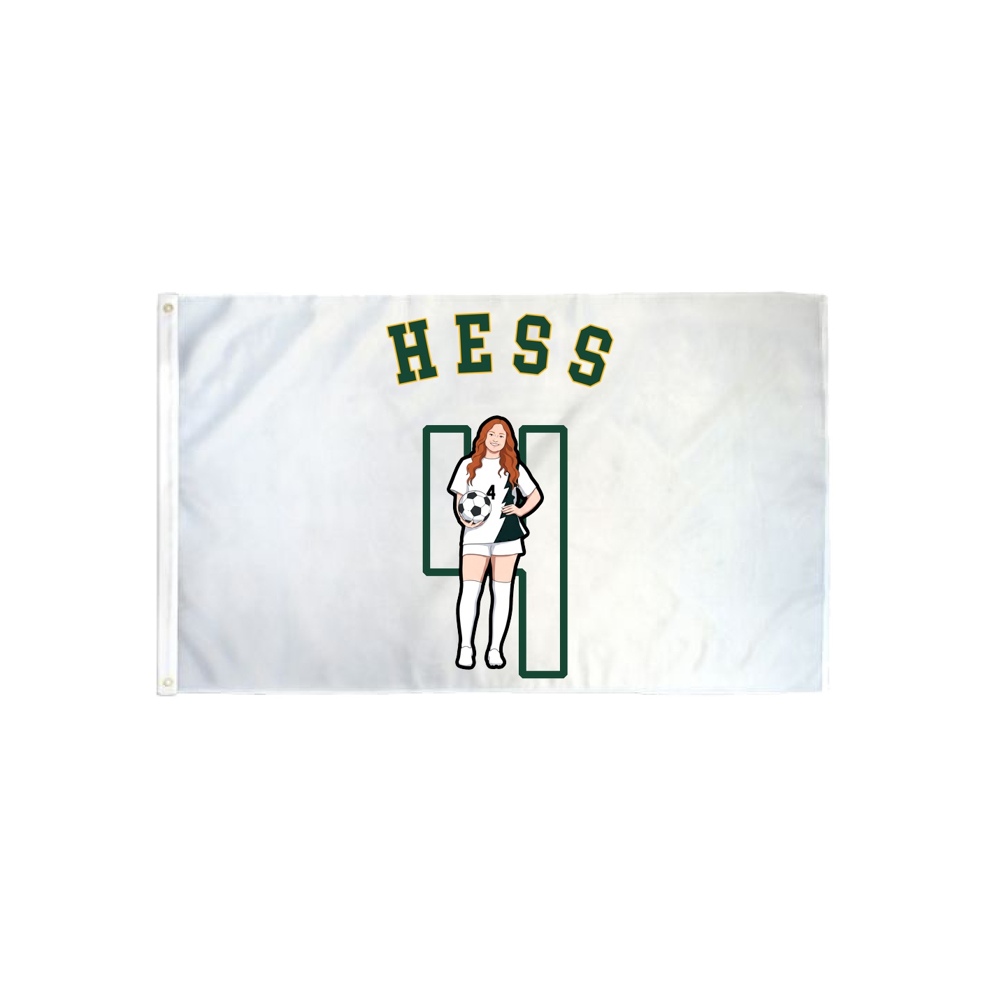 3x5 Flag — Shirsey Arch in Classic