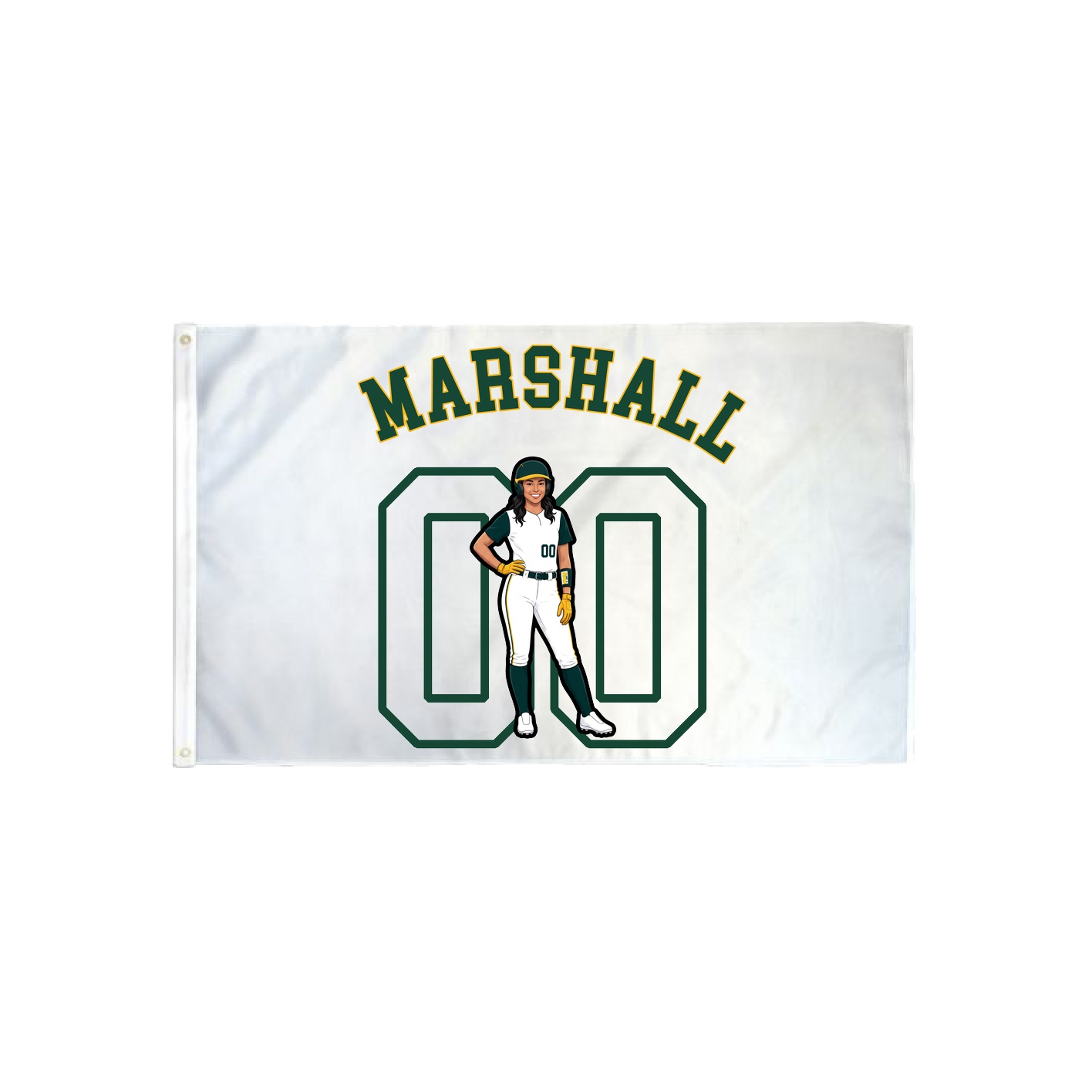 3x5 Flag — Shirsey Arch in Classic