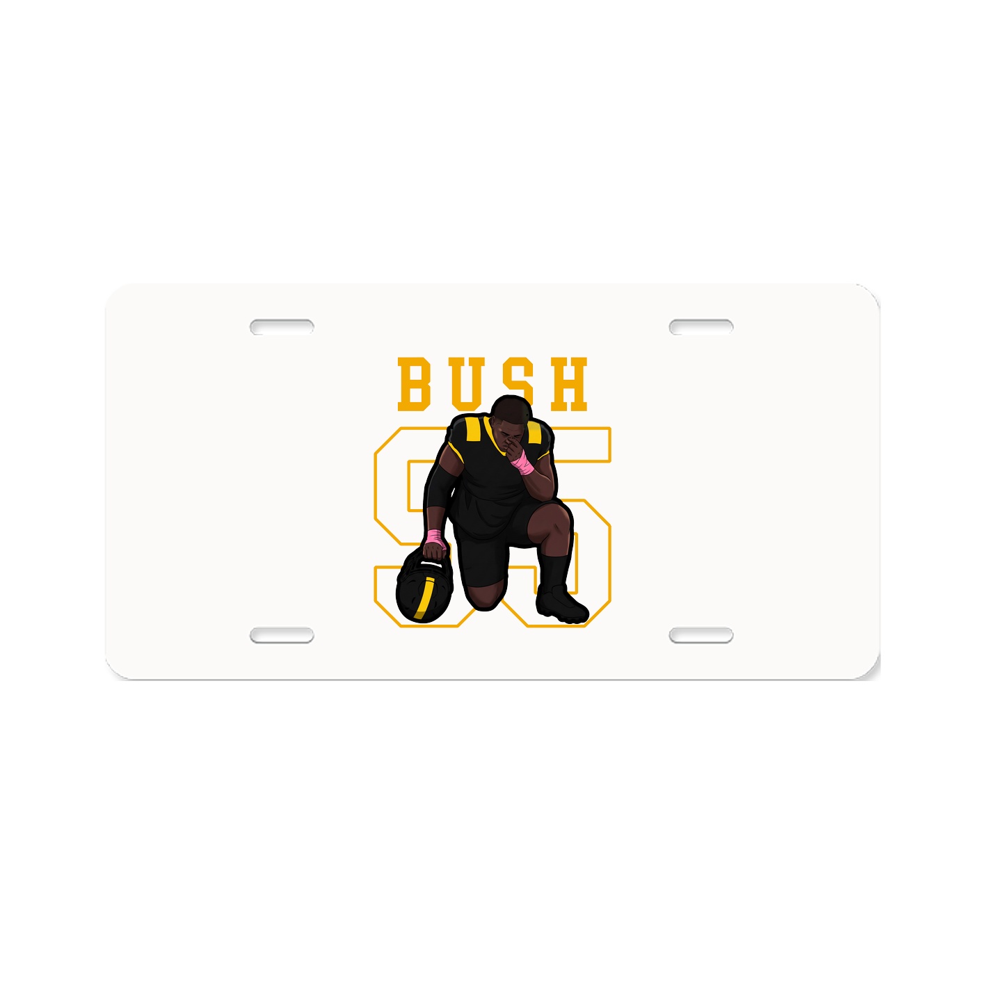 License Plate