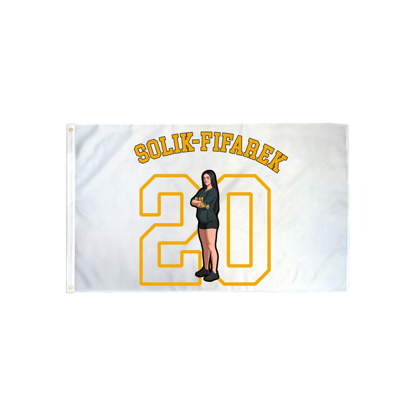 3x5 Flag — Shirsey Arch in Classic