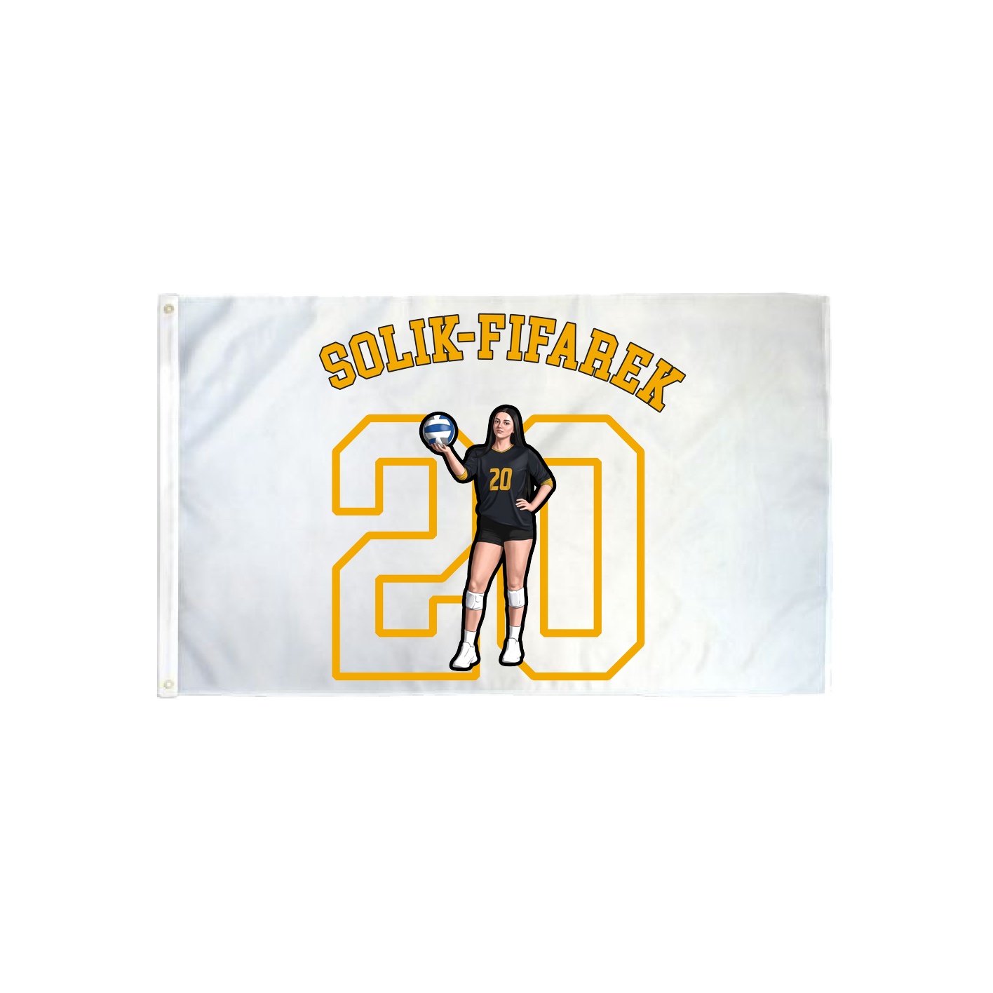 3x5 Flag — Shirsey Arch in Classic