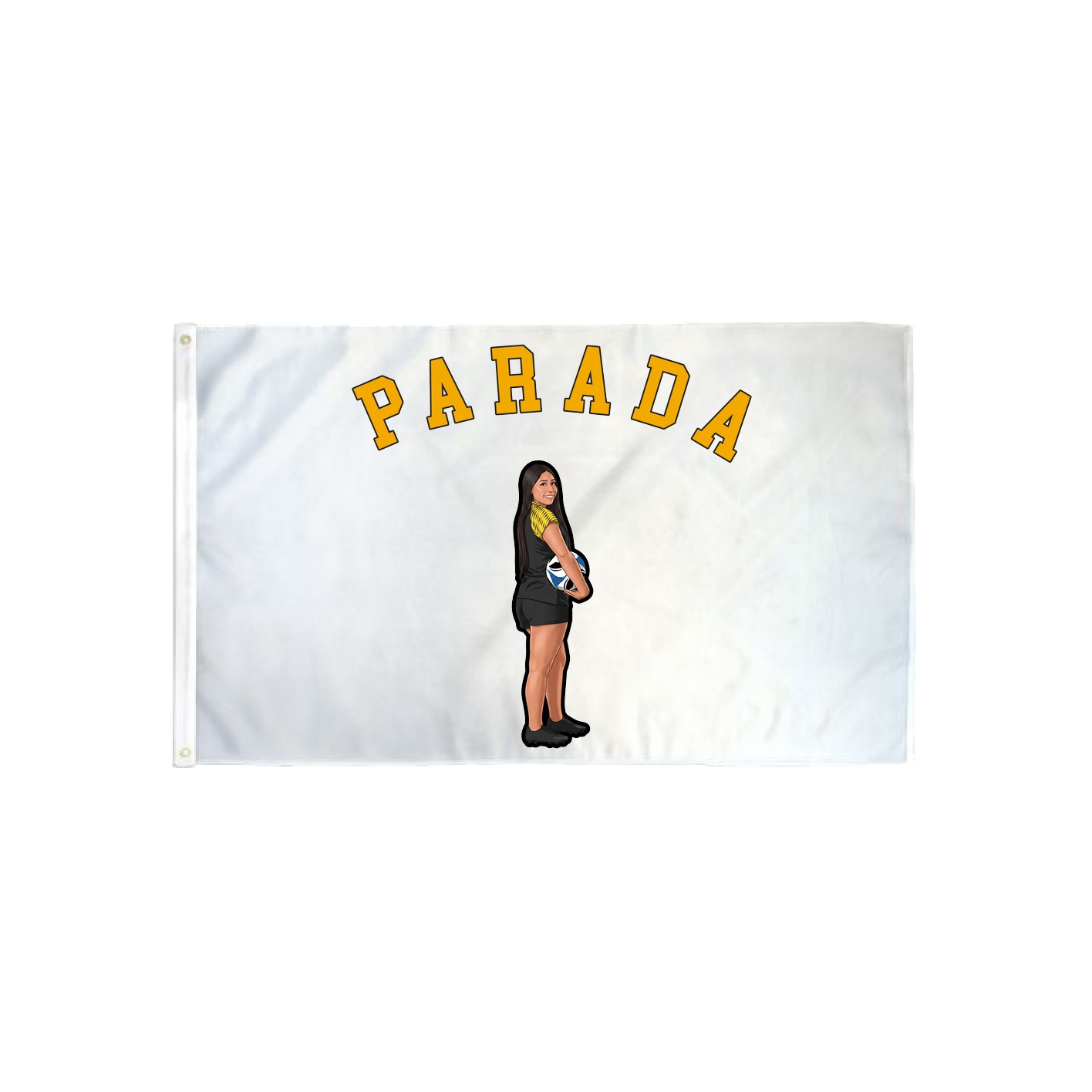 3x5 Flag — Shirsey Arch in Classic