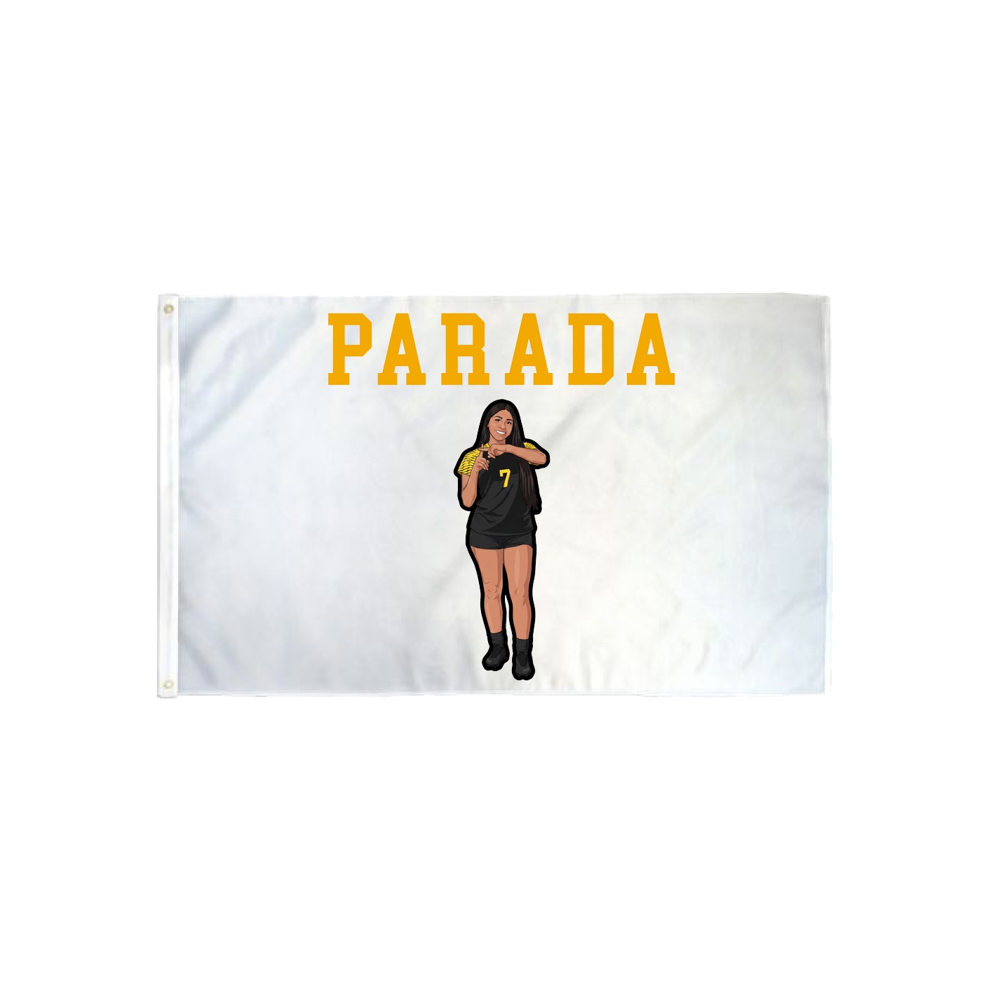 3x5 Flag — Shirsey in Classic