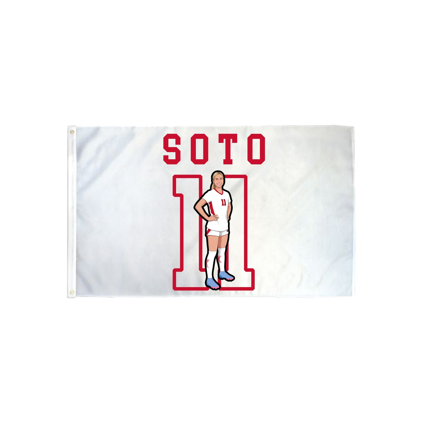 3x5 Flag — Shirsey in Classic