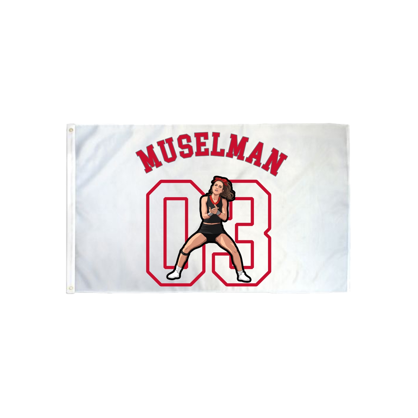 3x5 Flag — Shirsey Arch in Classic