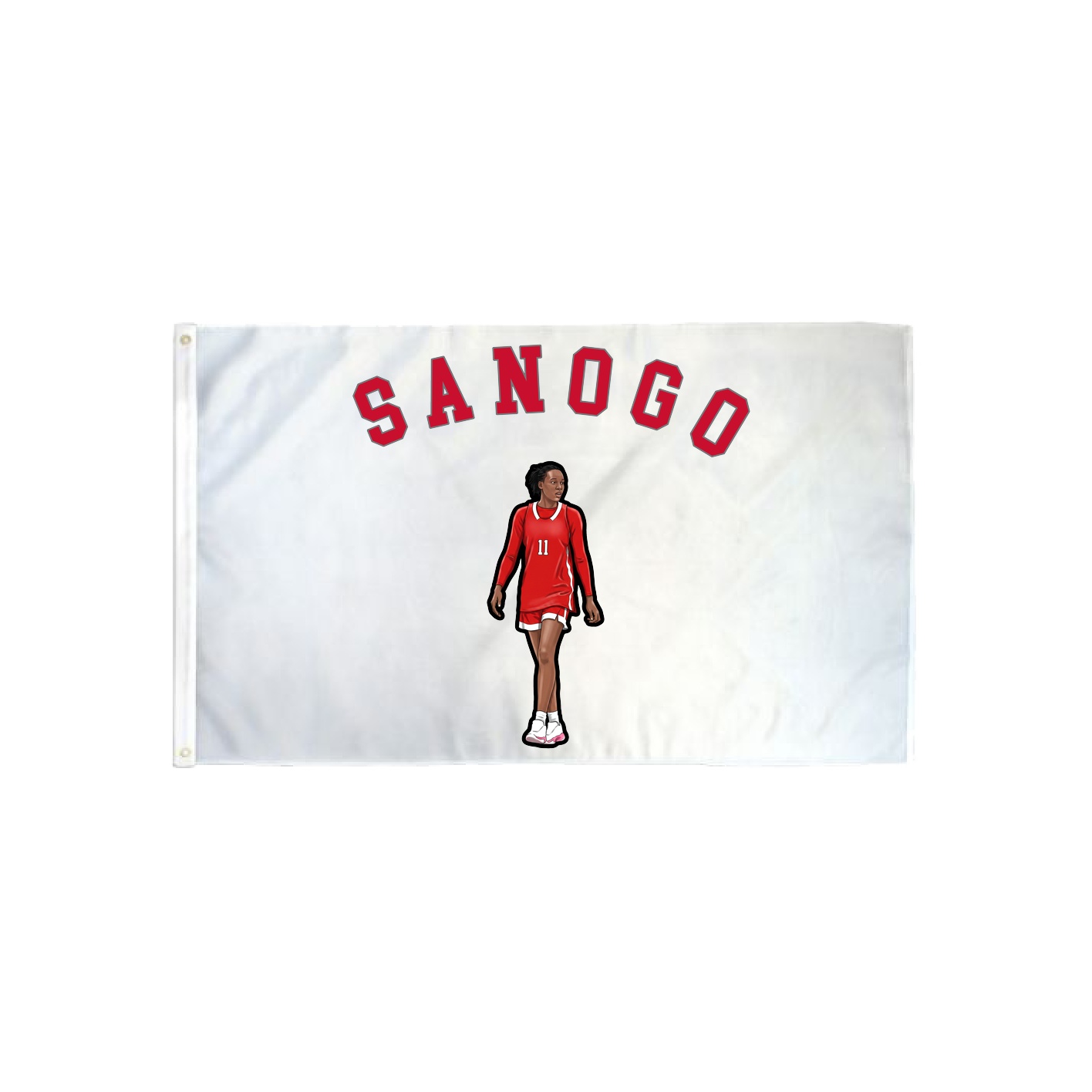 3x5 Flag — Shirsey Arch in Classic