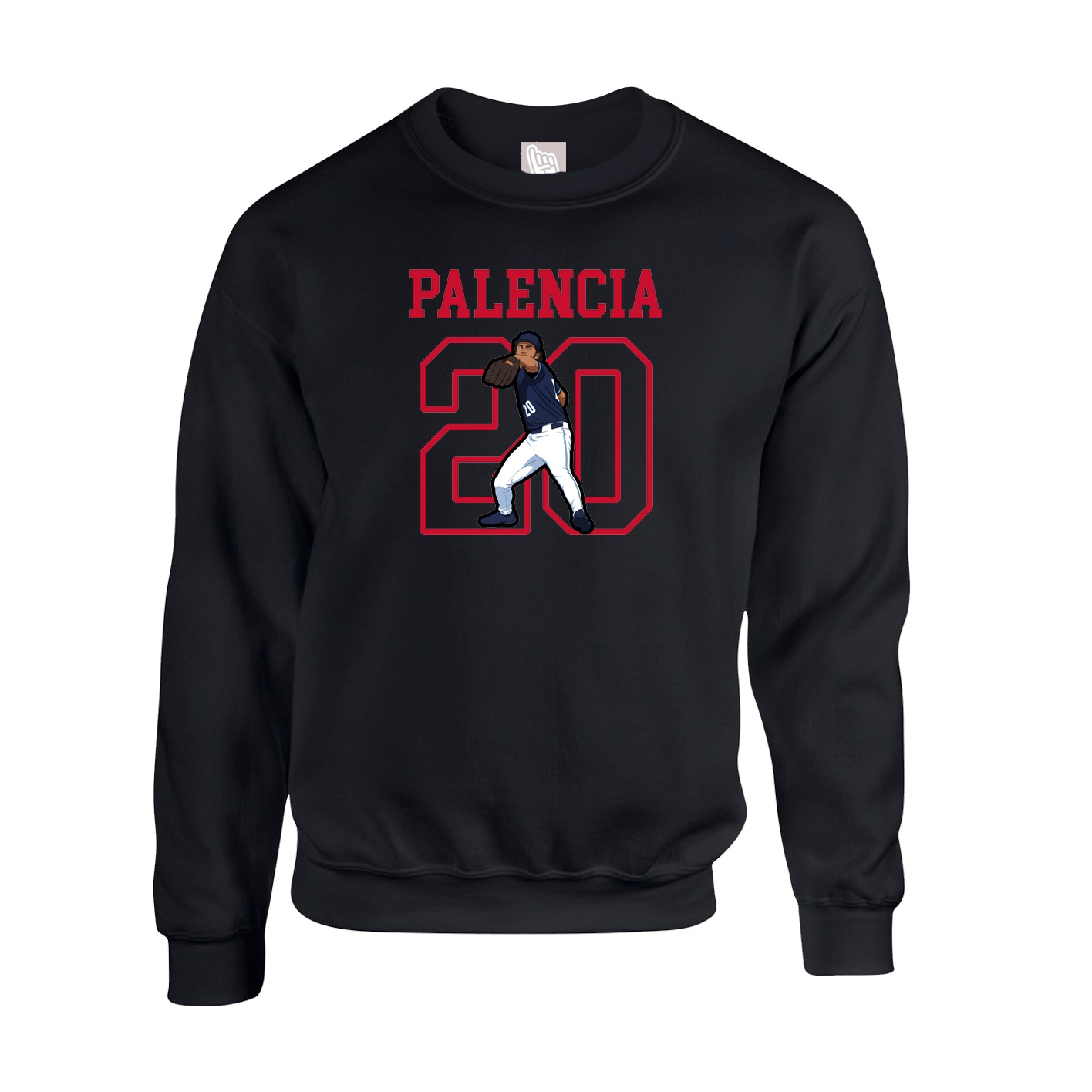 Fleece Crew — Shirsey in Black