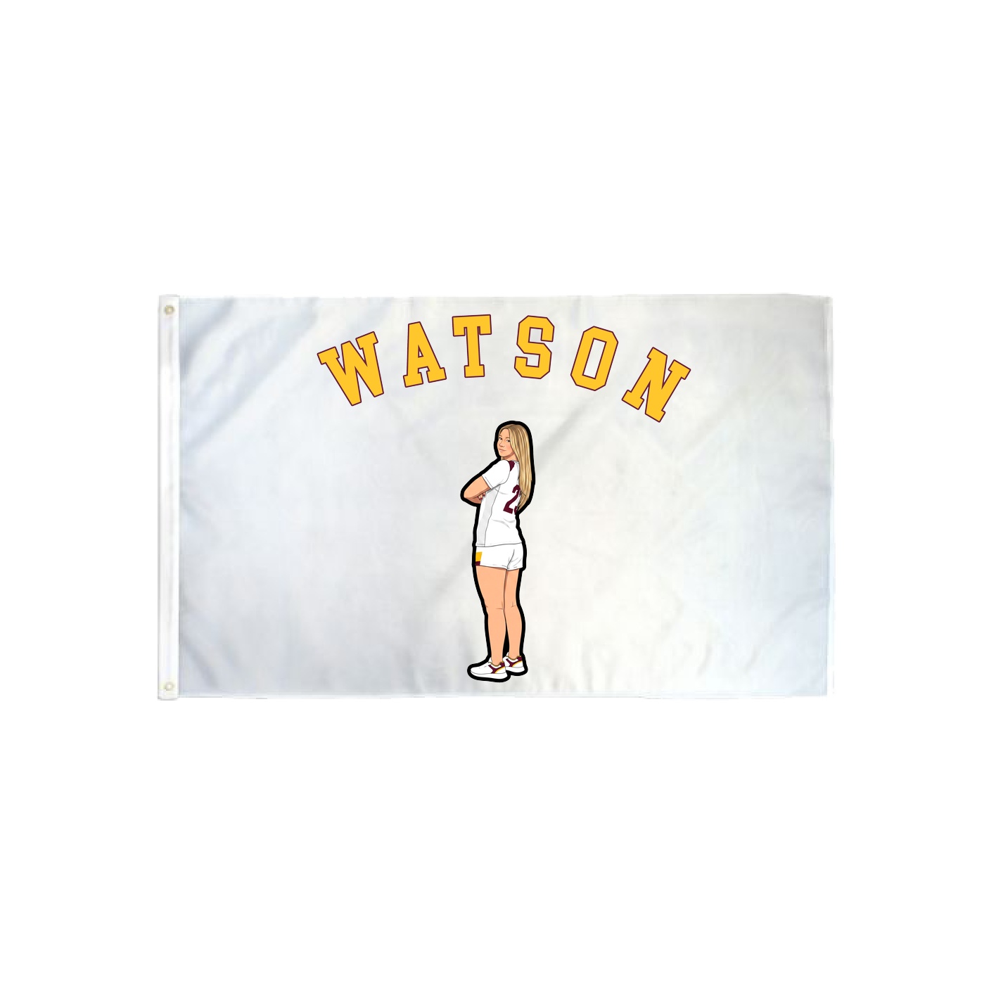 3x5 Flag — Shirsey Arch in Classic