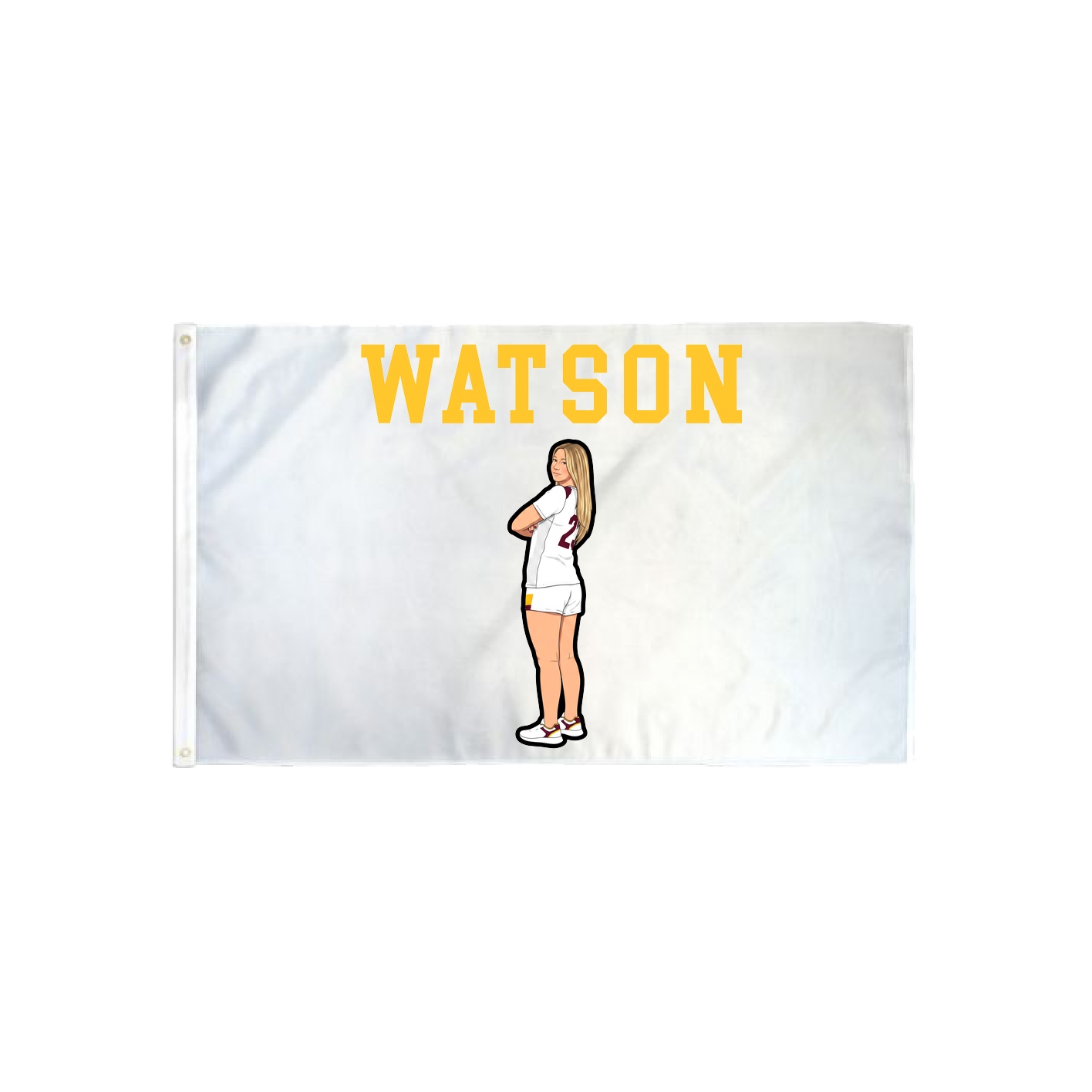 3x5 Flag — Shirsey in Classic
