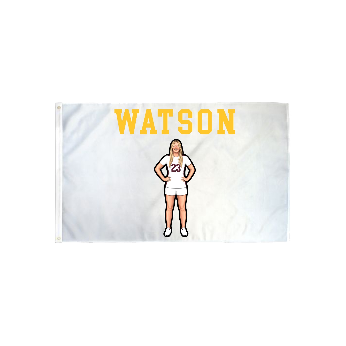 3x5 Flag — Shirsey in Classic