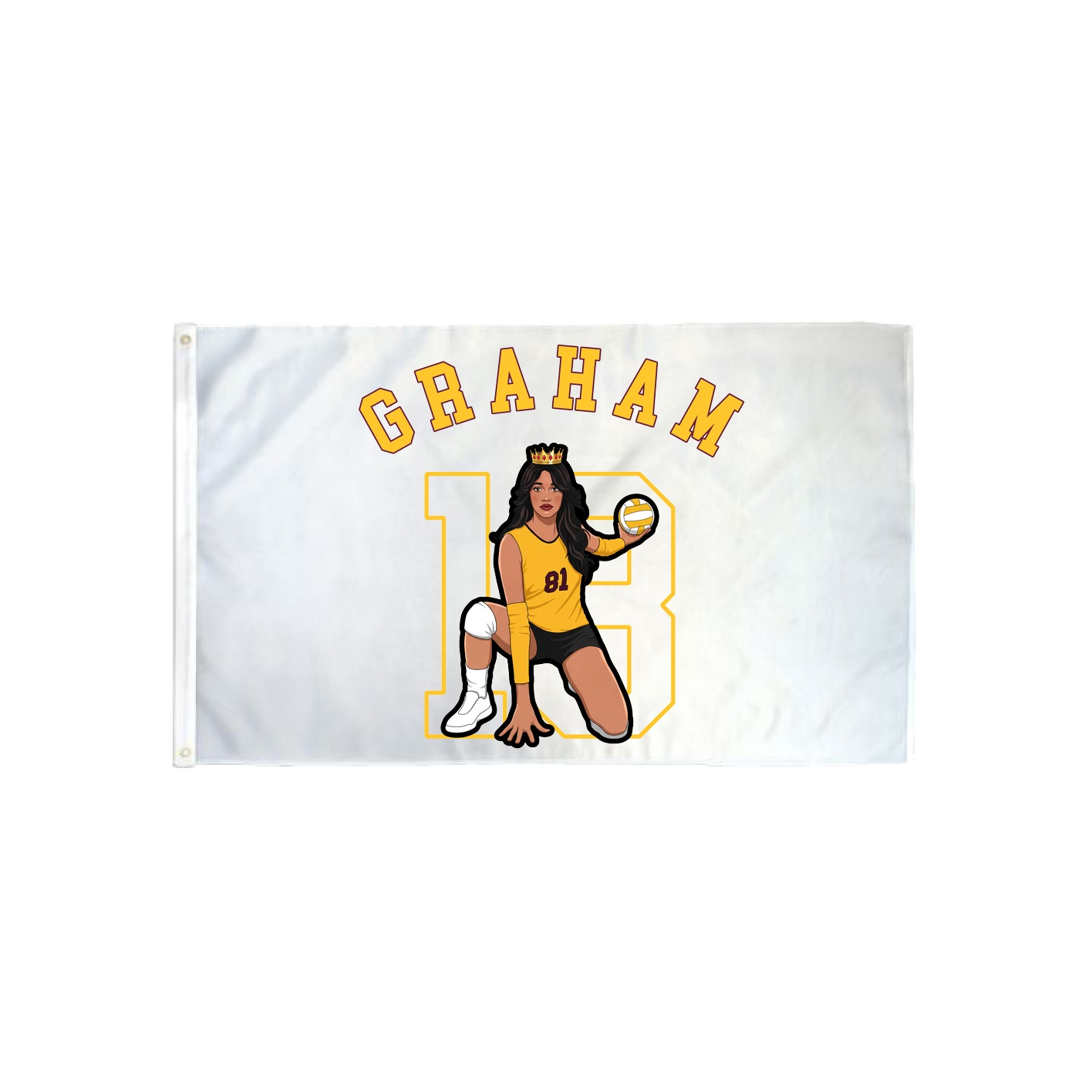 3x5 Flag — Shirsey Arch in Classic