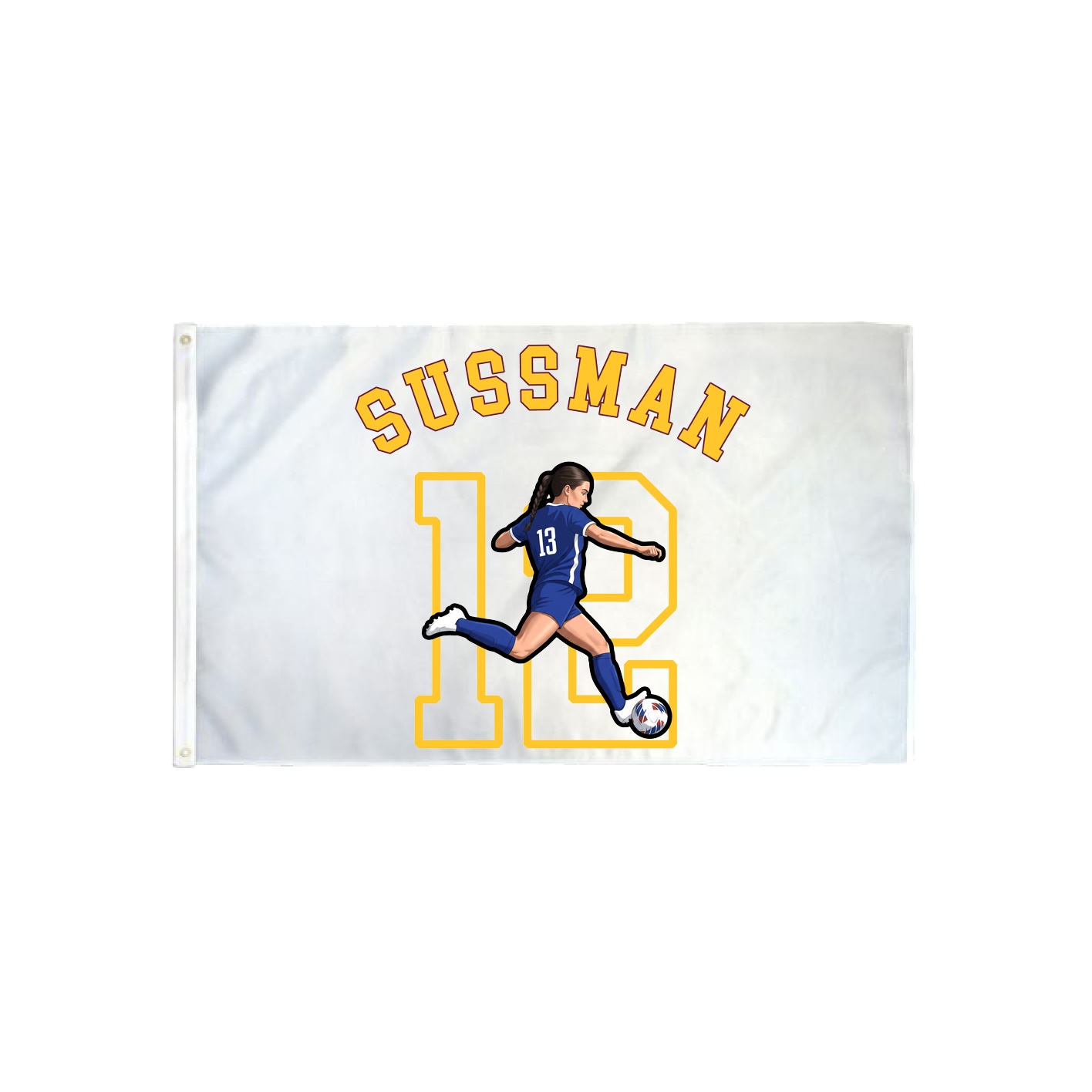 3x5 Flag — Shirsey Arch in Classic