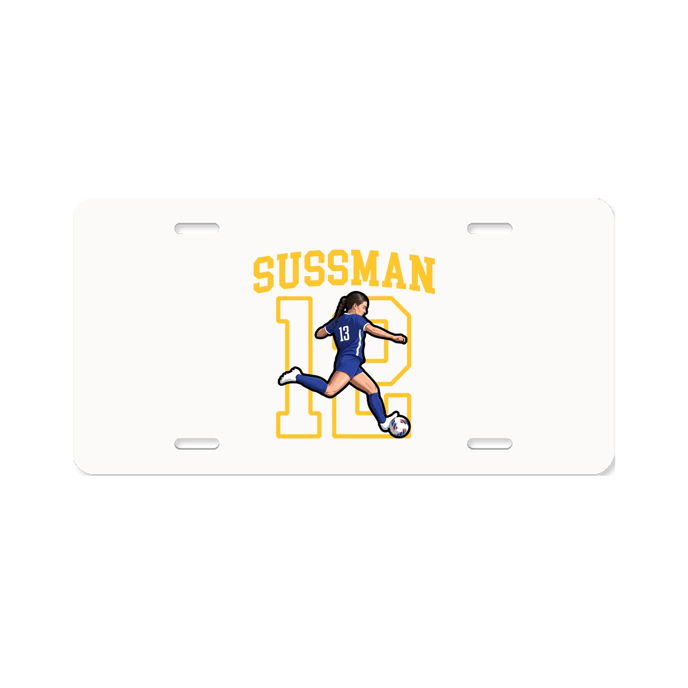 Aluminum License Plate