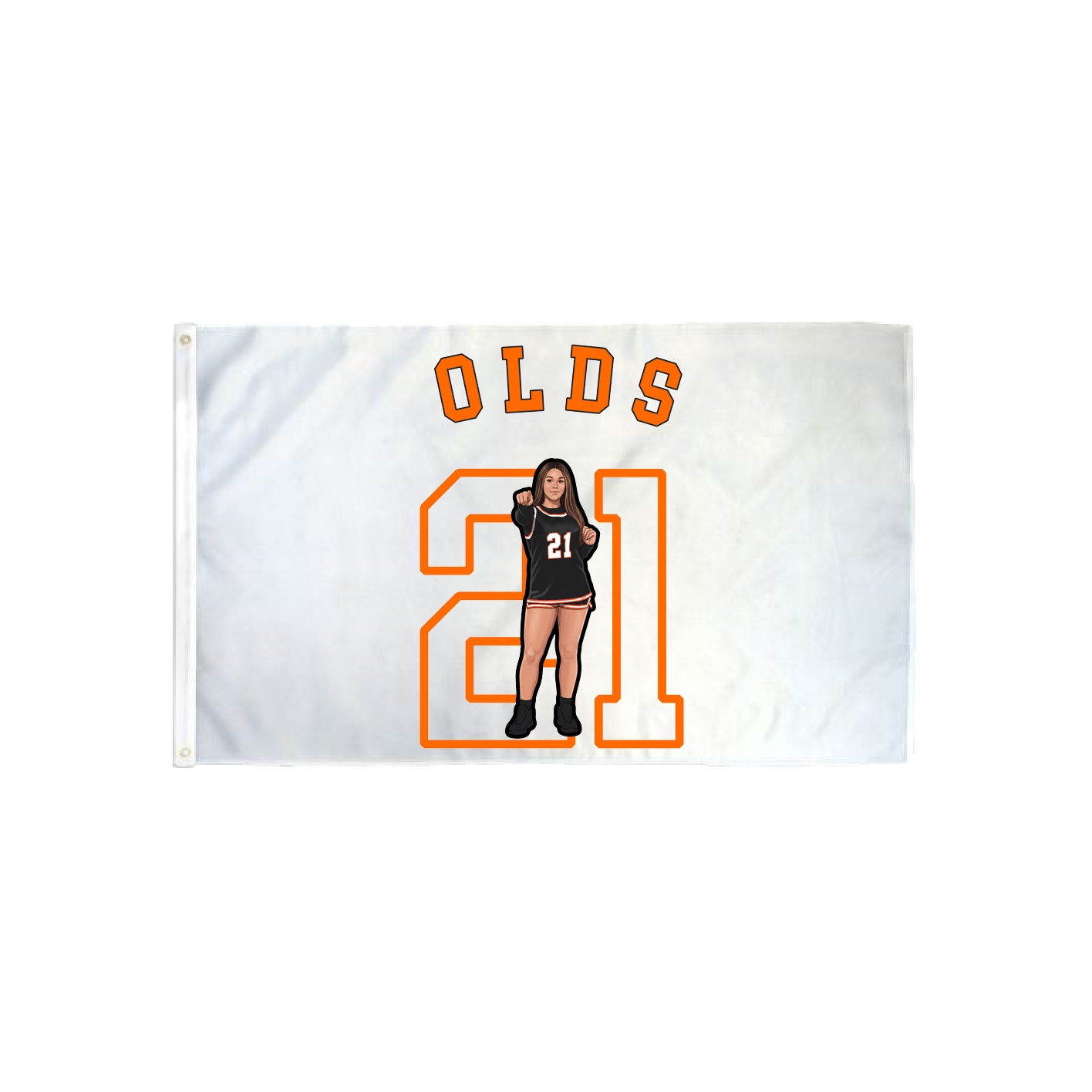 3x5 Flag — Shirsey Arch in Classic