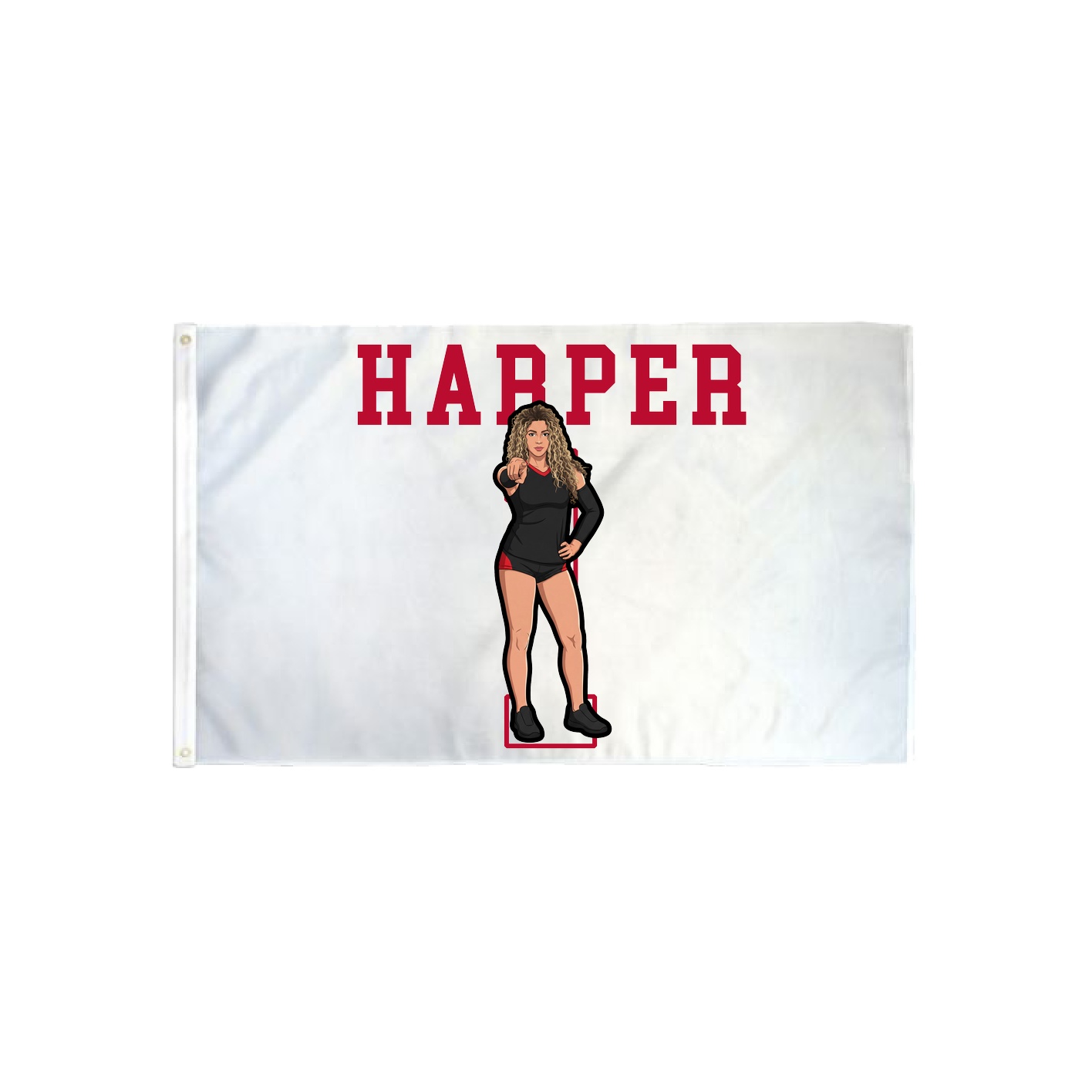 3x5 Flag — Shirsey in Classic
