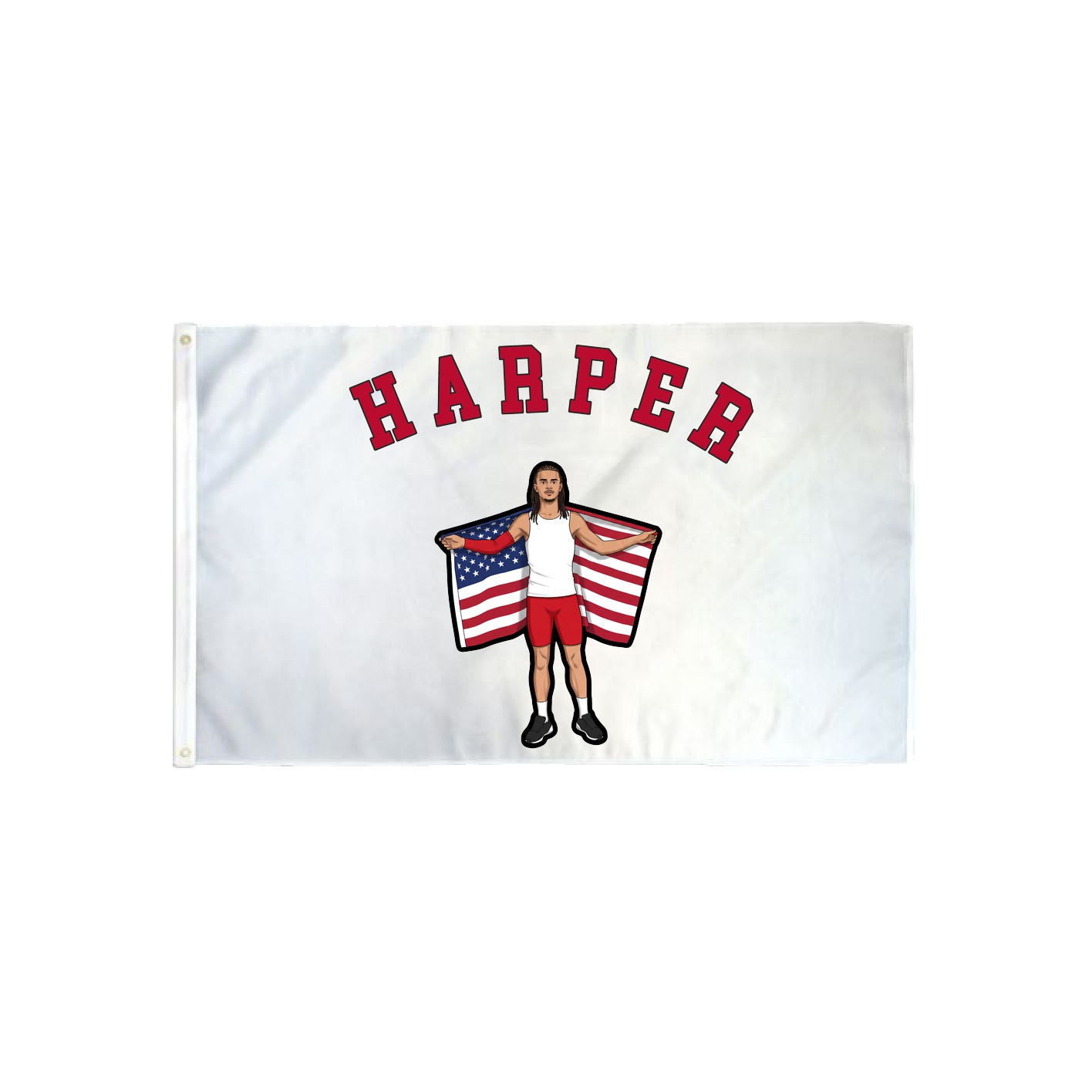 3x5 Flag — Shirsey Arch in Classic