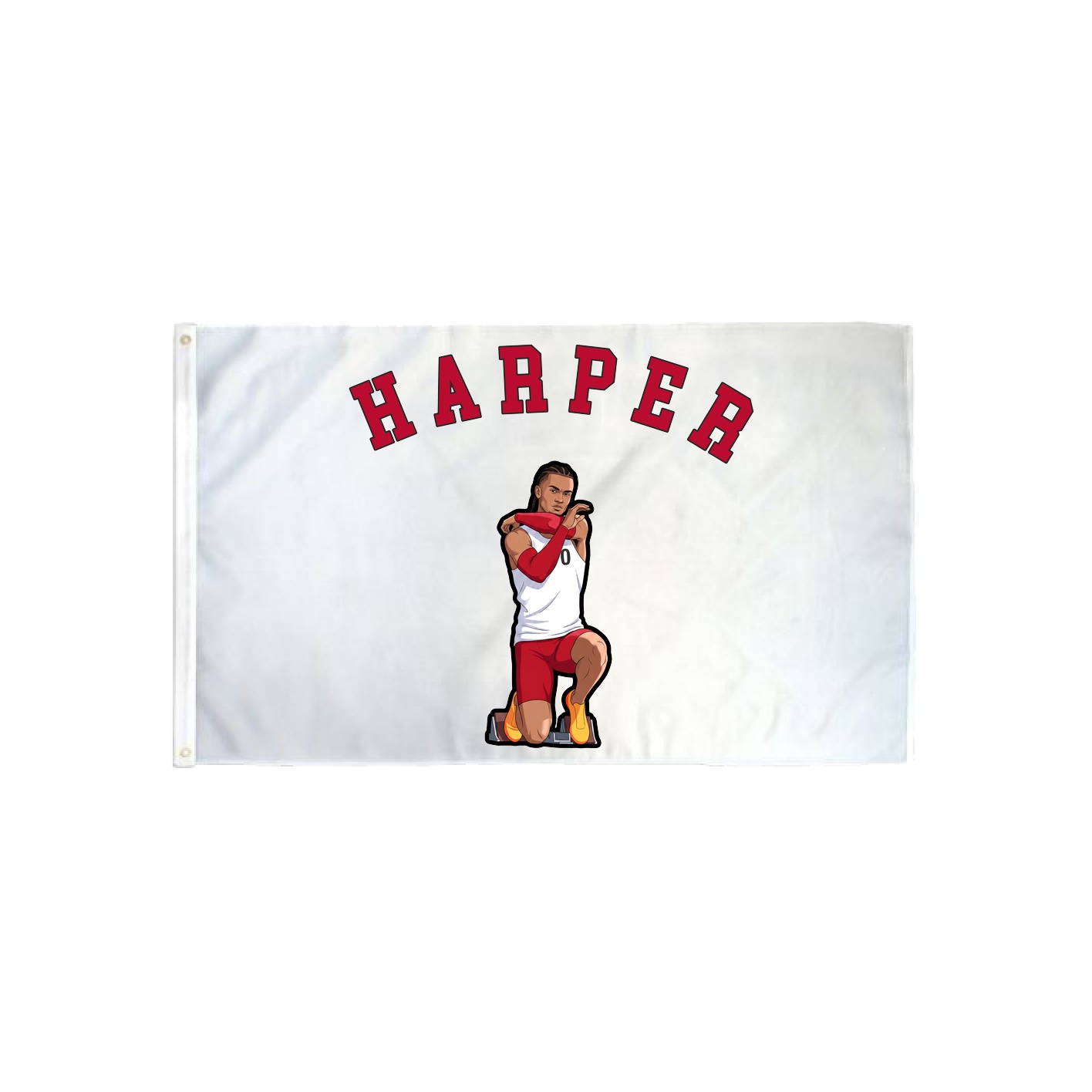 3x5 Flag — Shirsey Arch in Classic