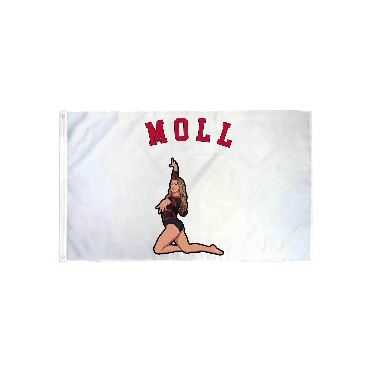 3x5 Flag — Shirsey Arch in Classic