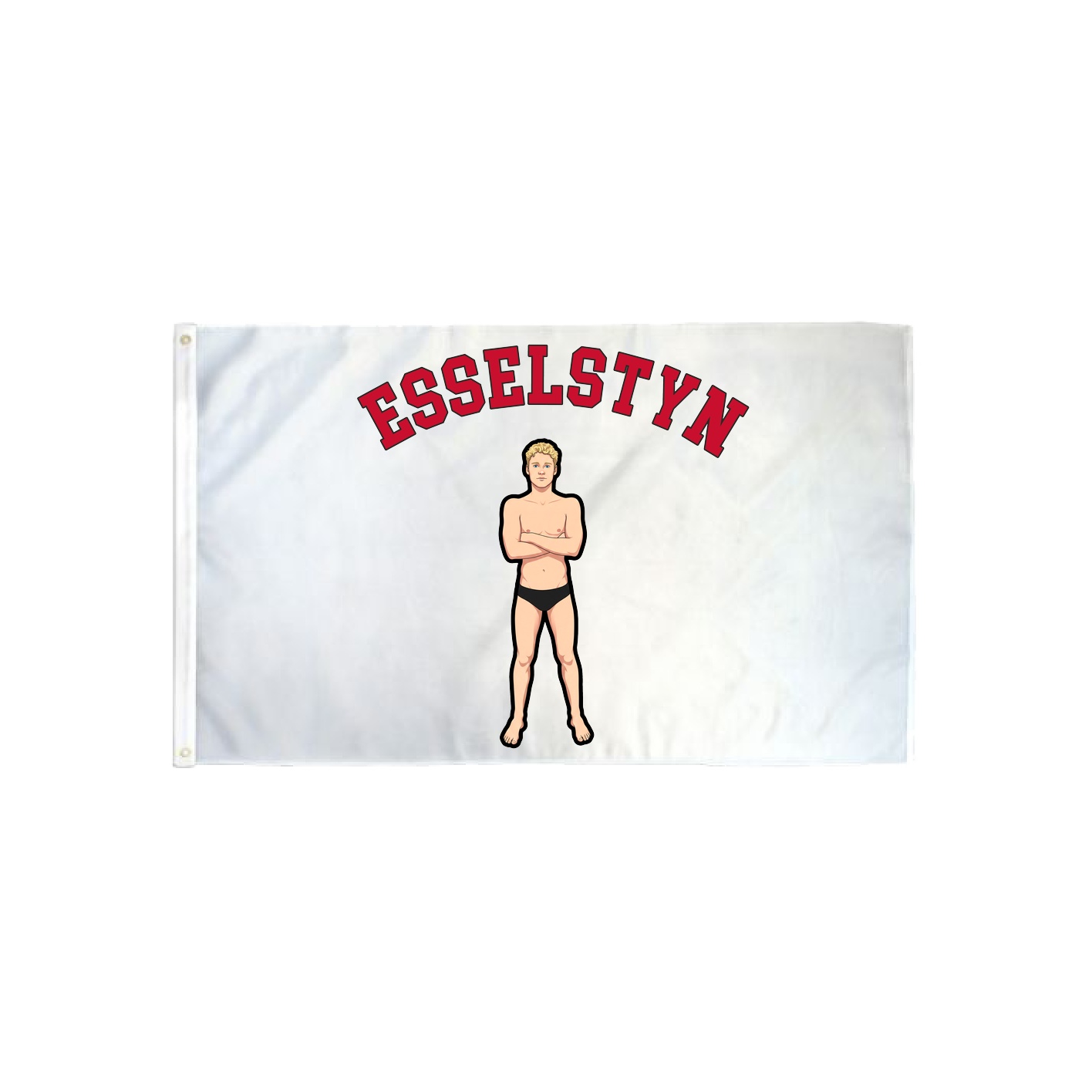 3x5 Flag — Shirsey Arch in Classic