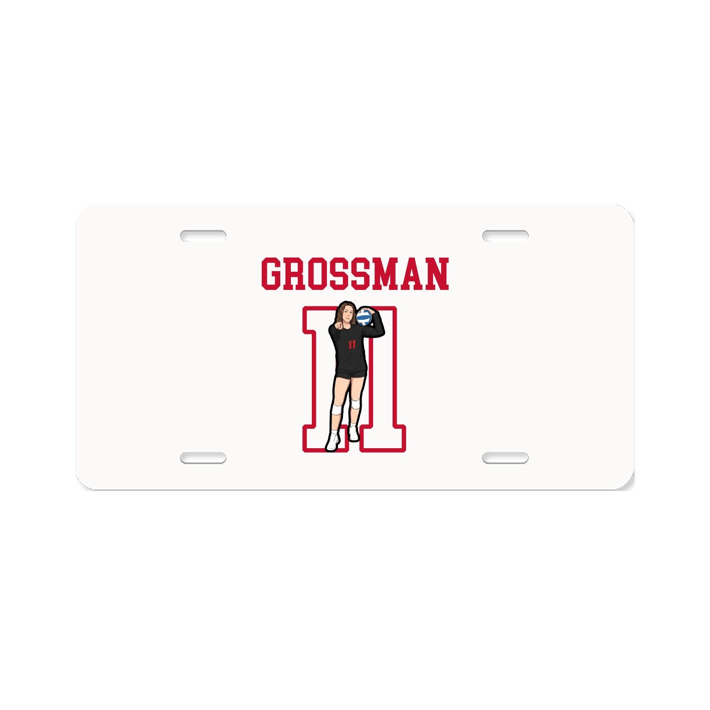 Aluminum License Plate