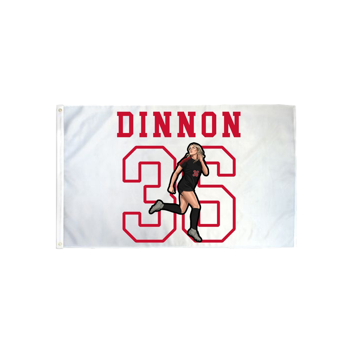 3x5 Flag — Shirsey in Classic