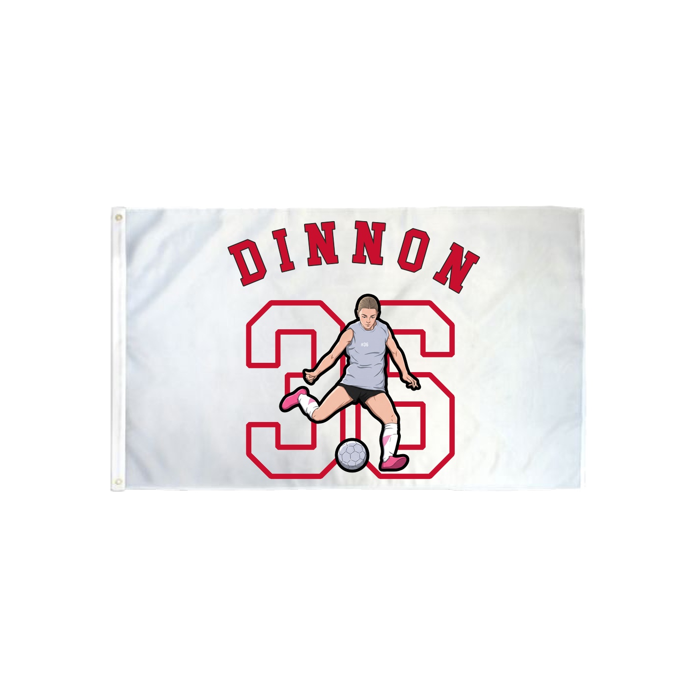 3x5 Flag — Shirsey Arch in Classic