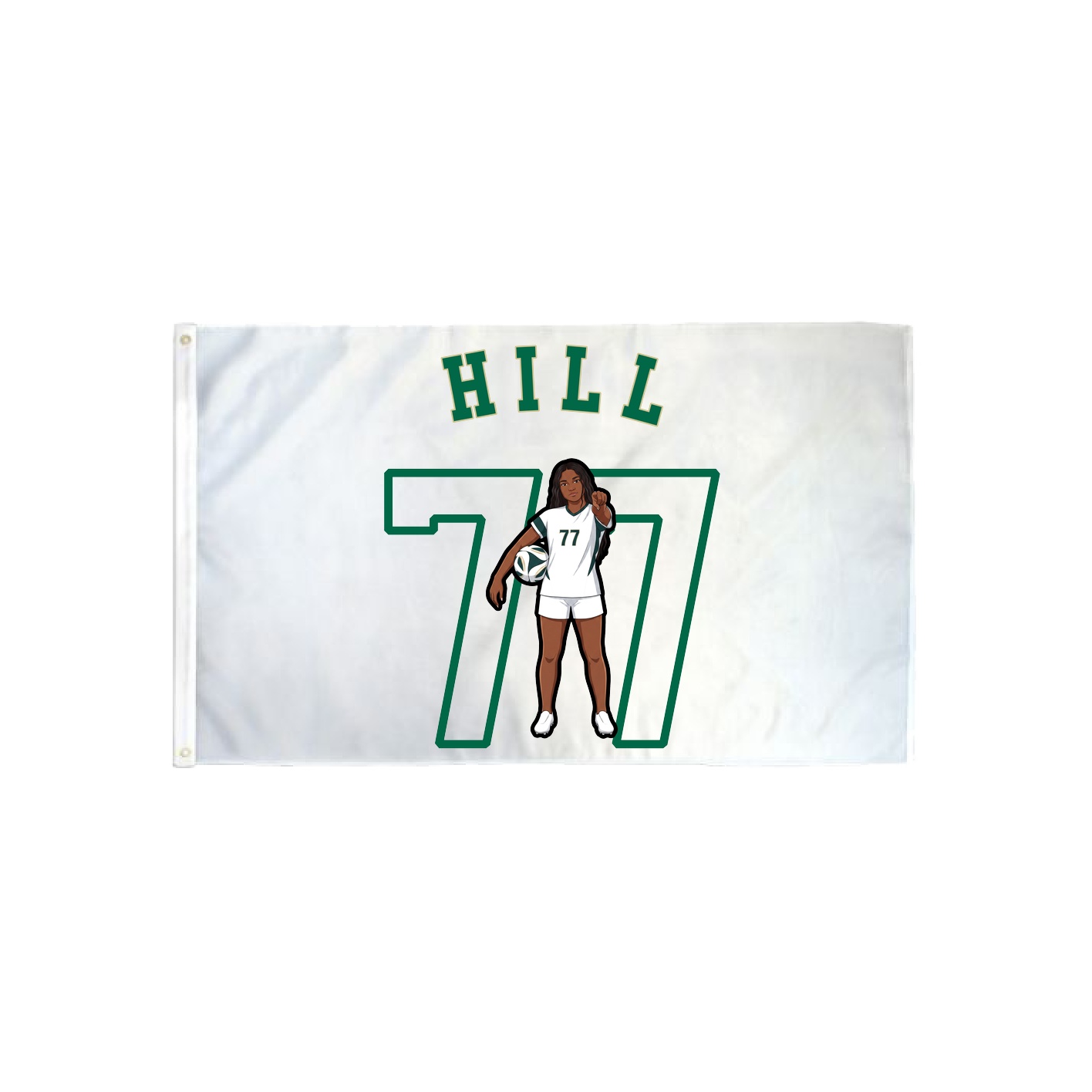3x5 Flag — Shirsey Arch in Classic