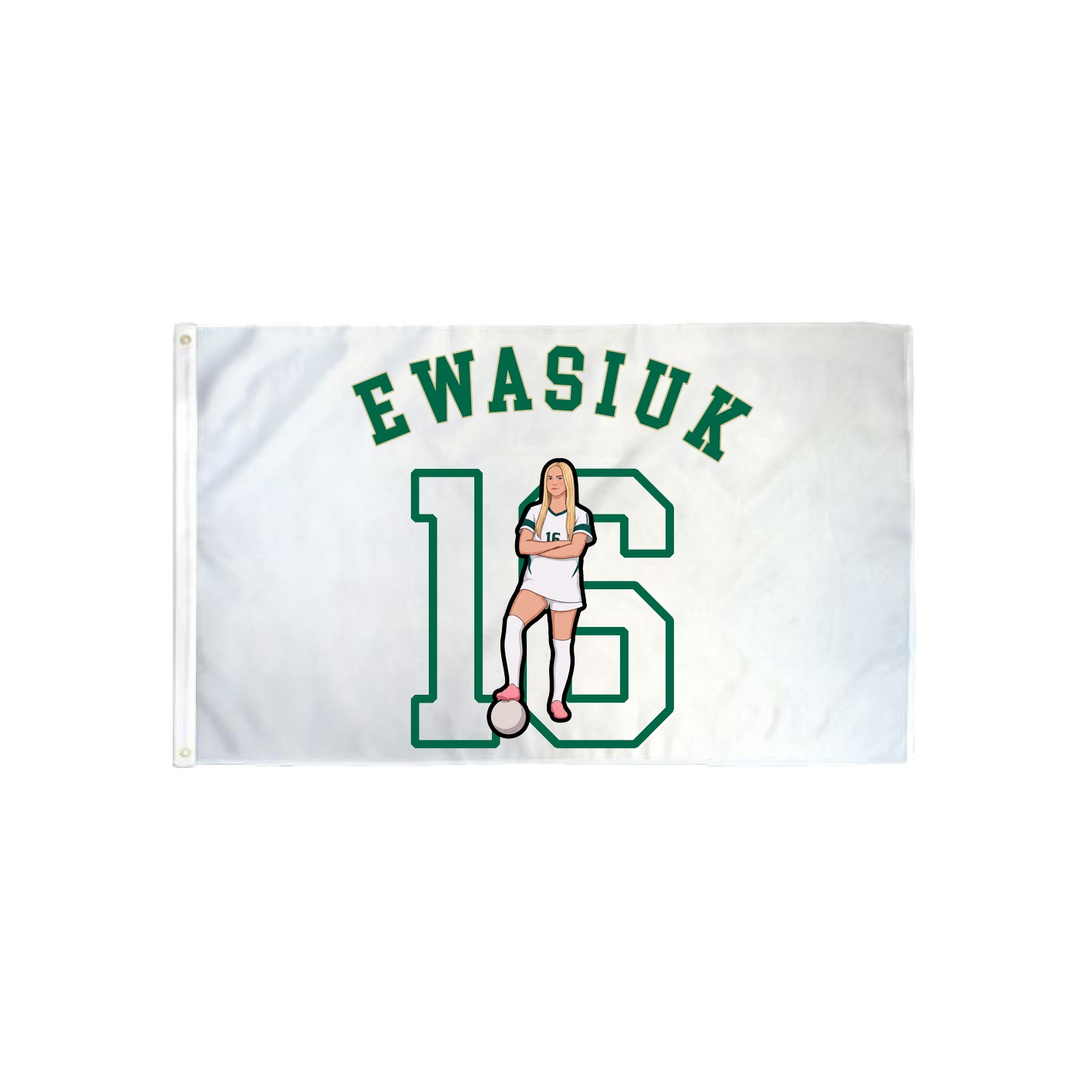 3x5 Flag — Shirsey Arch in Classic