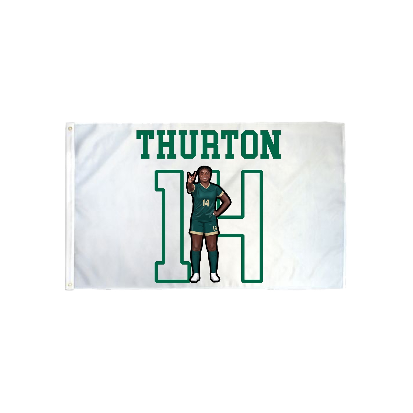 3x5 Flag — Shirsey in Classic