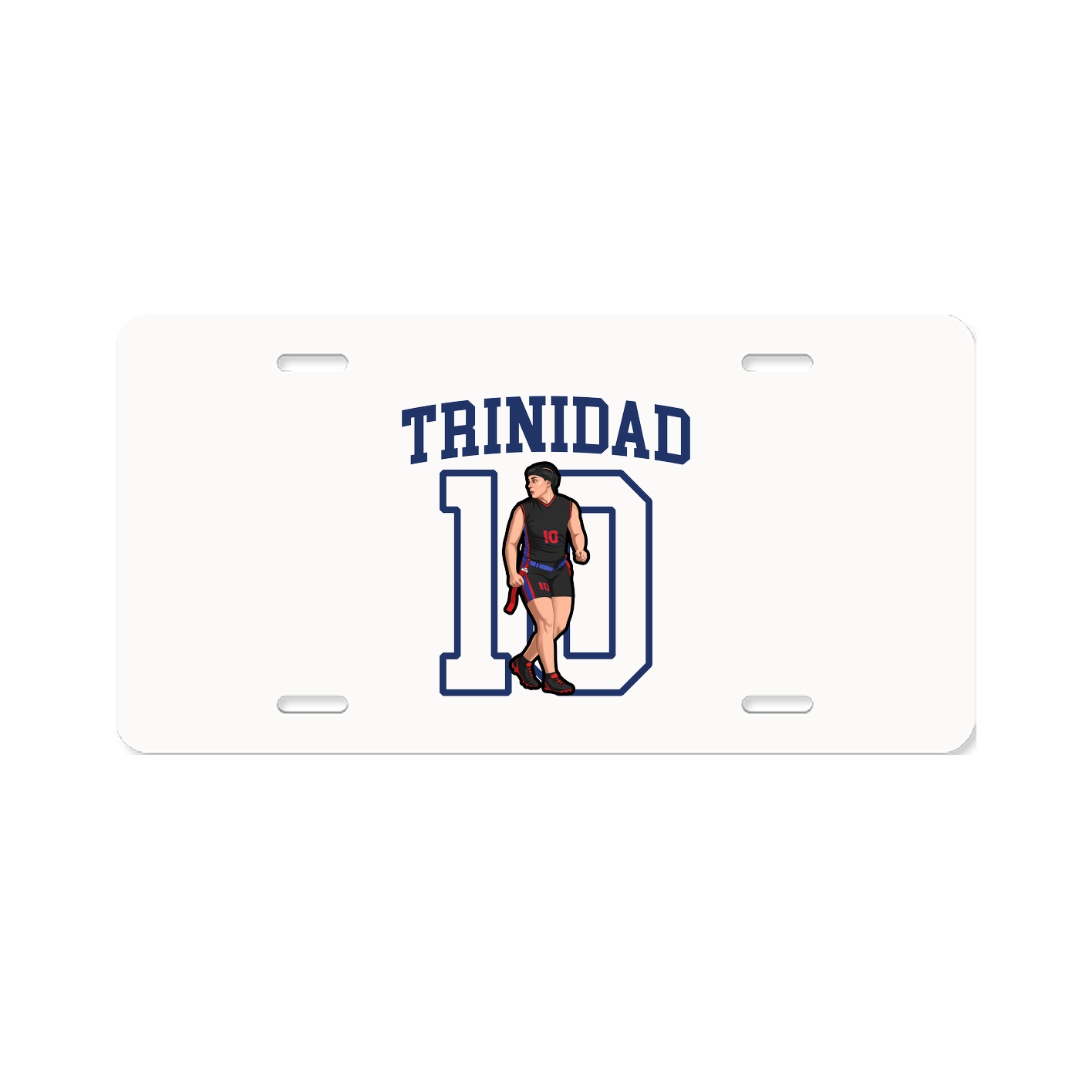 Aluminum License Plate