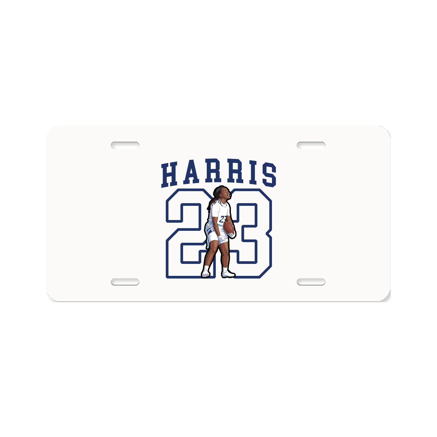 Aluminum License Plate