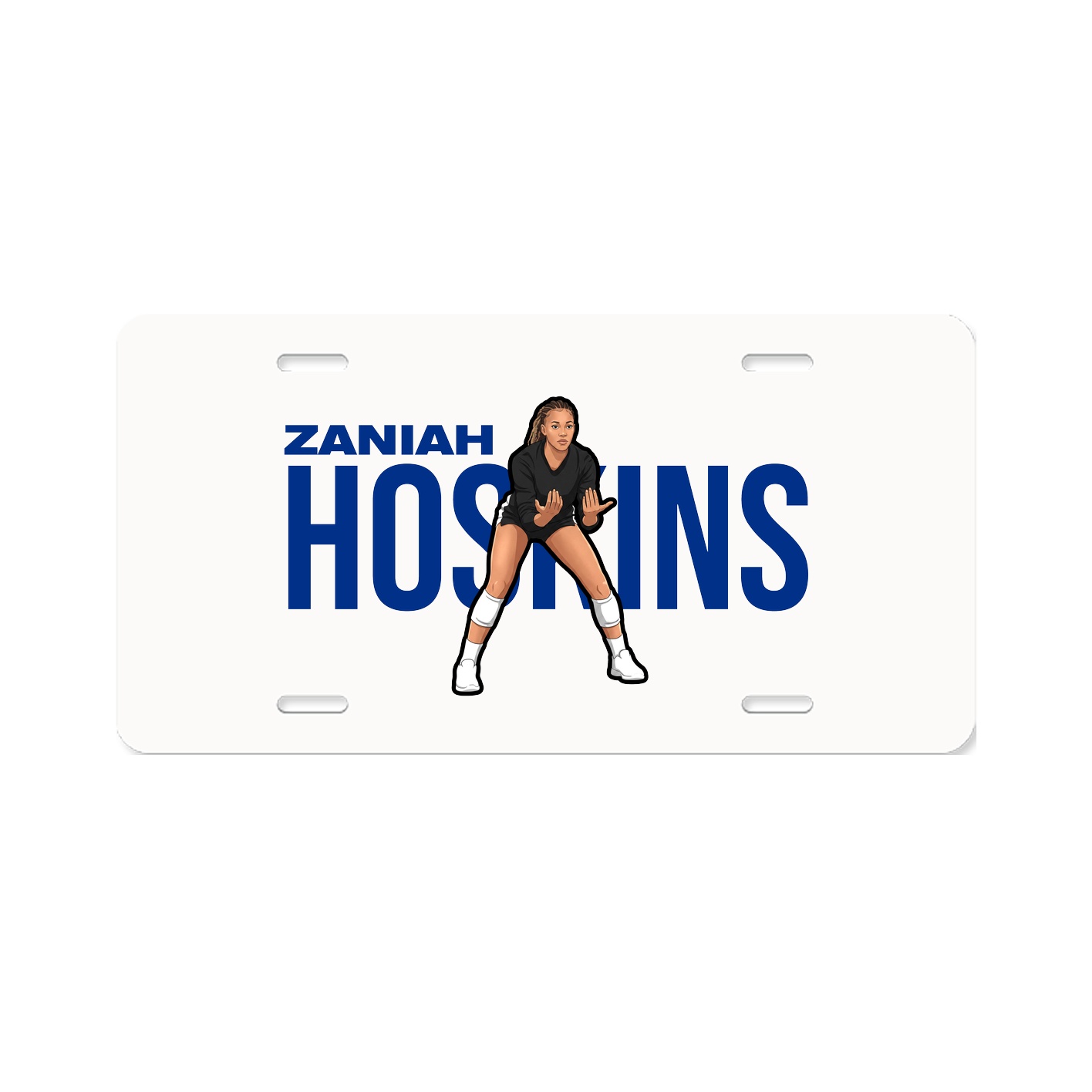 License Plate