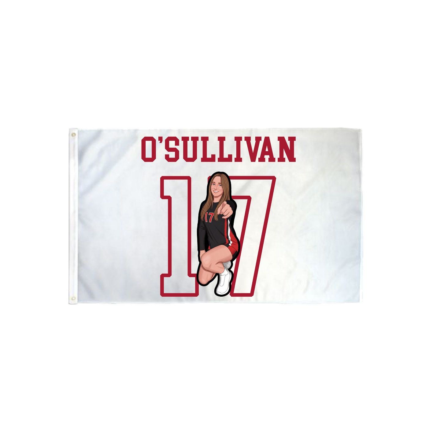3x5 Flag — Shirsey in Classic