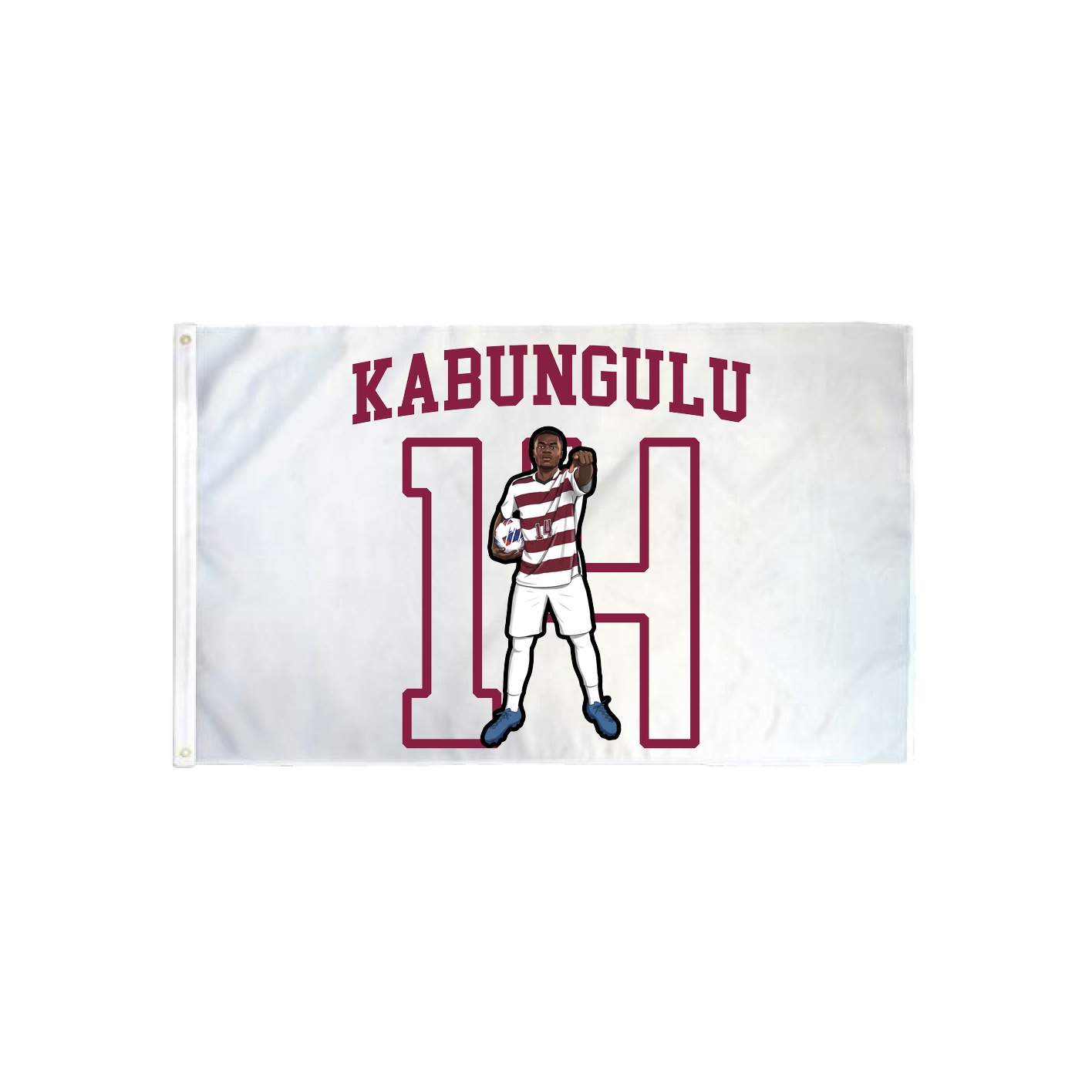 3x5 Flag