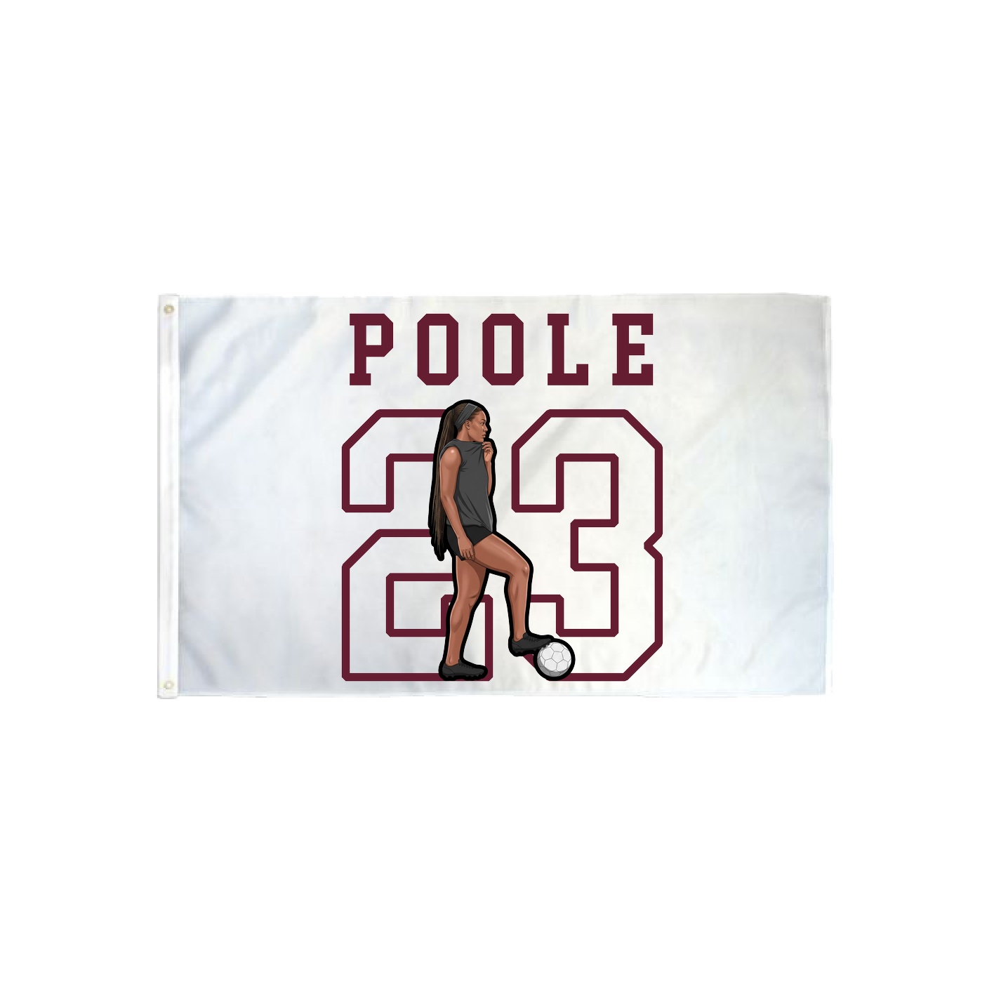 3x5 Flag — Shirsey in Classic