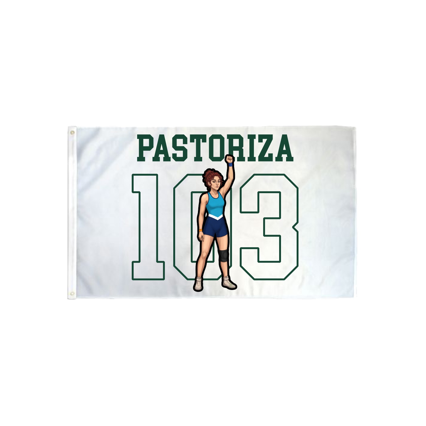 3x5 Flag — Shirsey in Classic