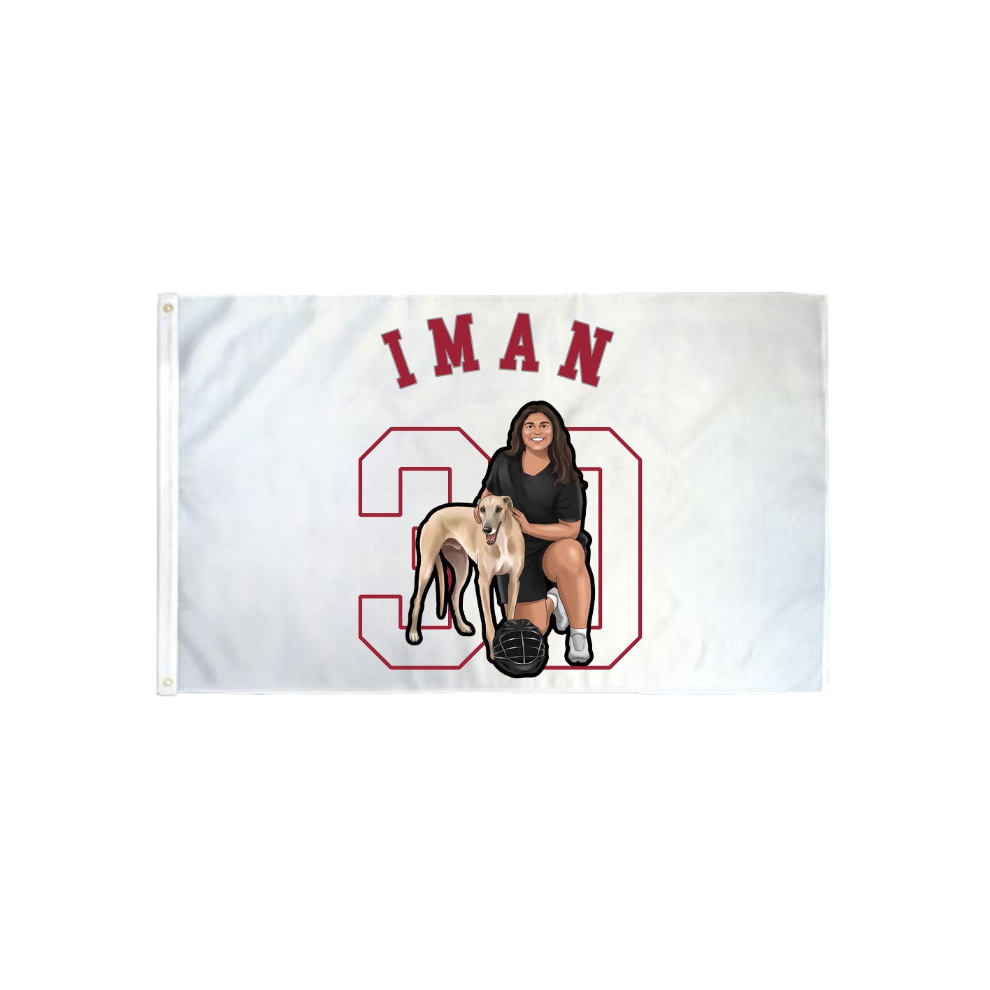 3x5 Flag — Shirsey Arch in Classic