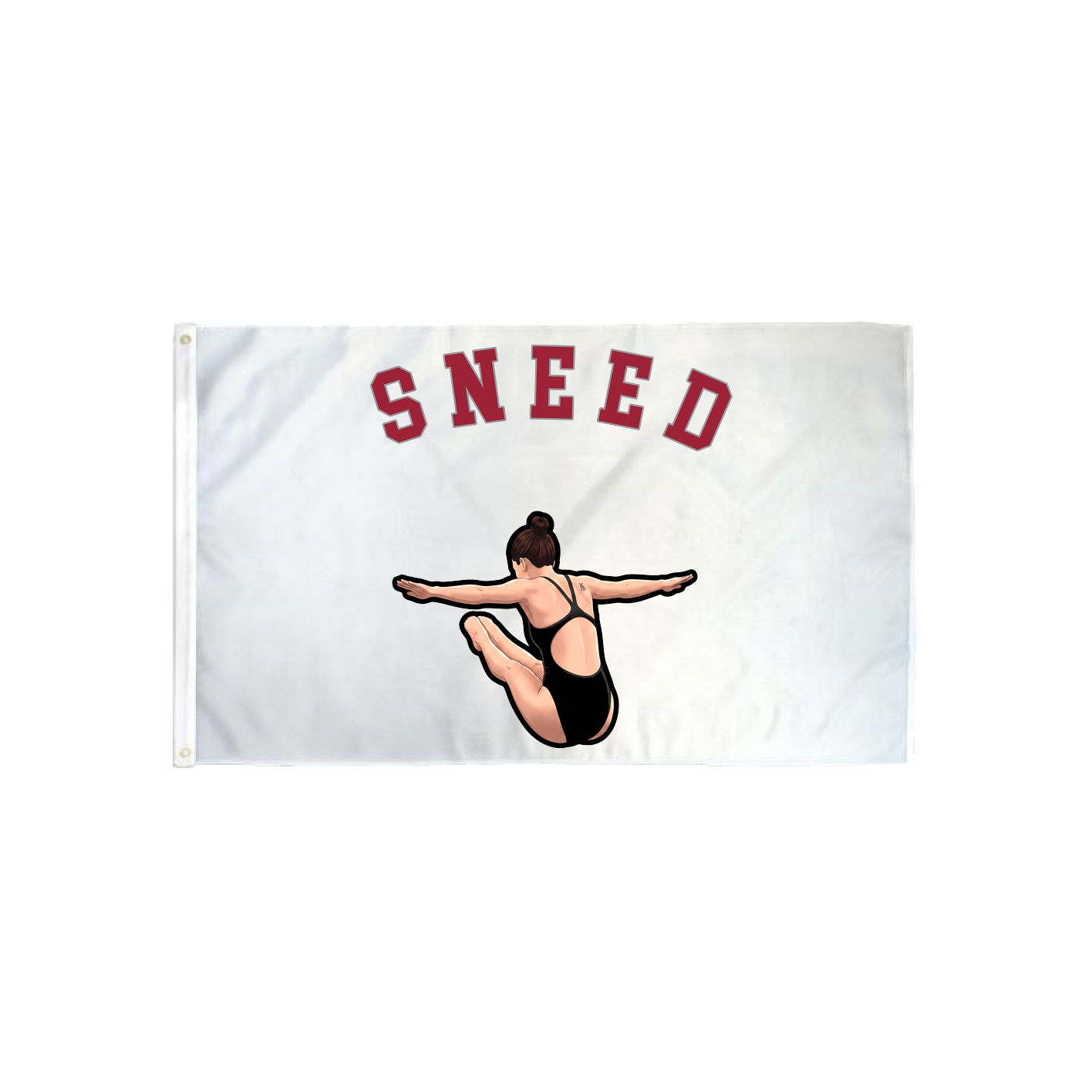 3x5 Flag — Shirsey Arch in Classic
