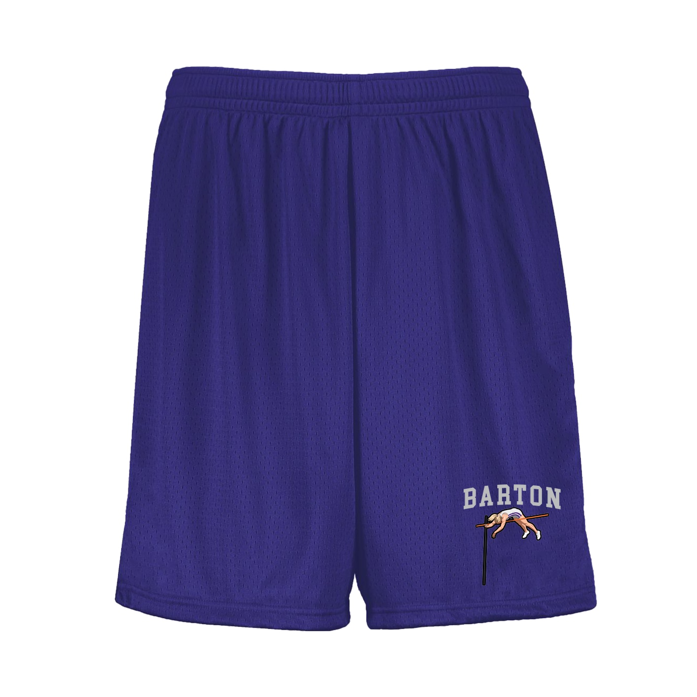 Shorts — Shirsey in Purple