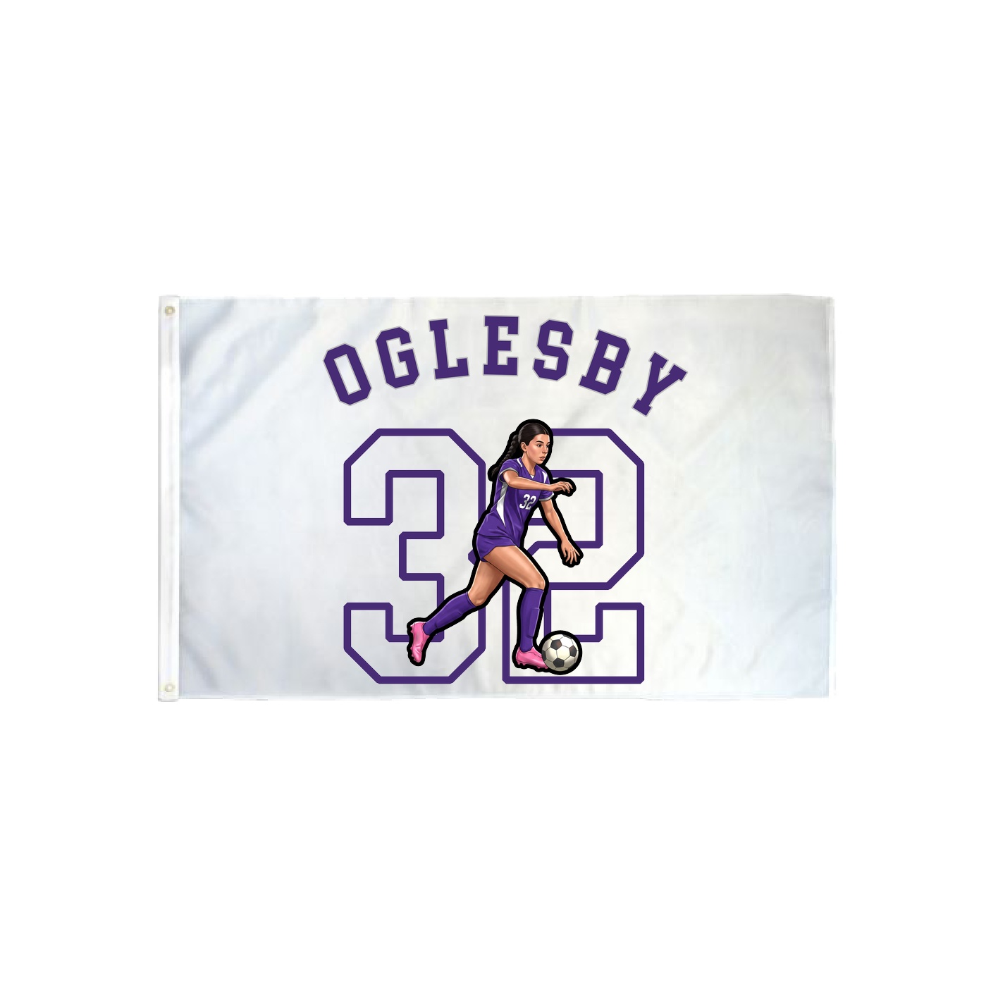 3x5 Flag — Shirsey Arch in Classic