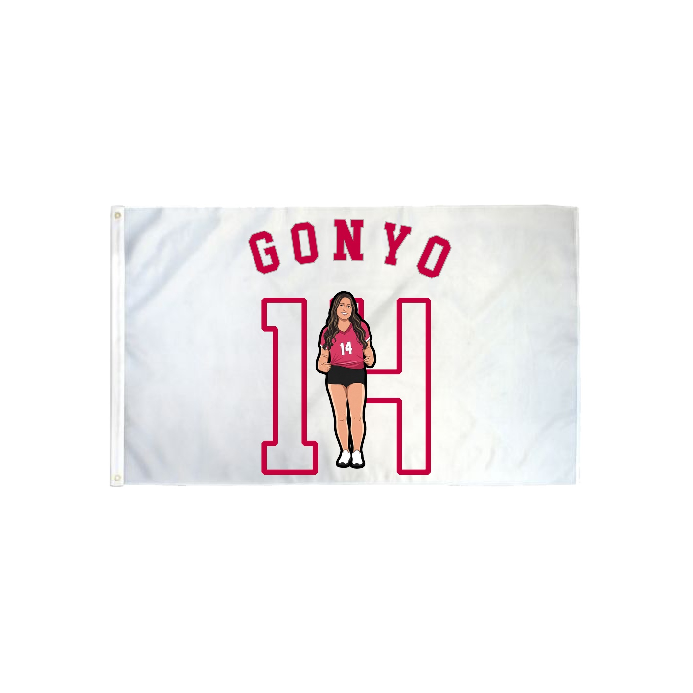 3x5 Flag — Shirsey Arch in Classic