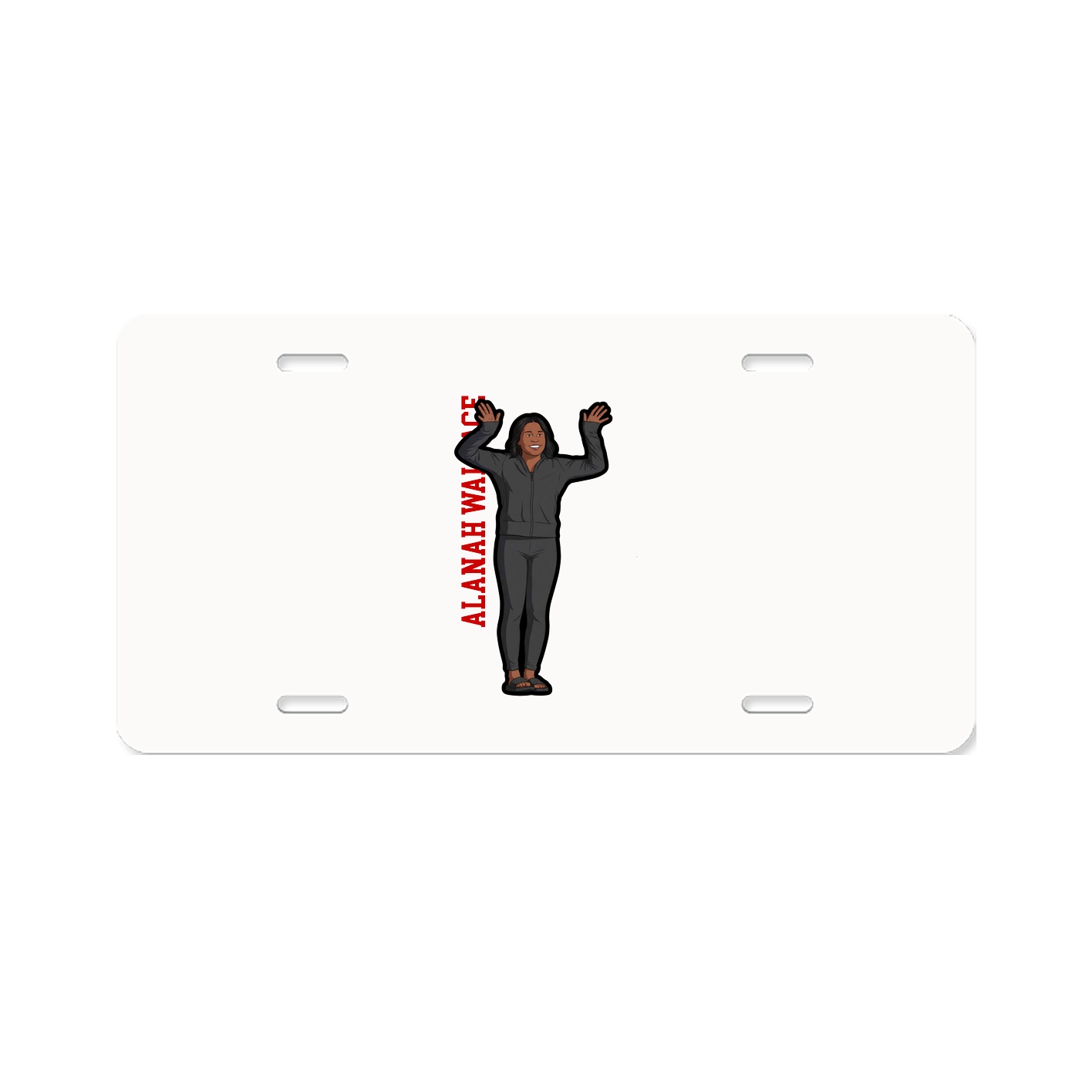 Aluminum License Plate