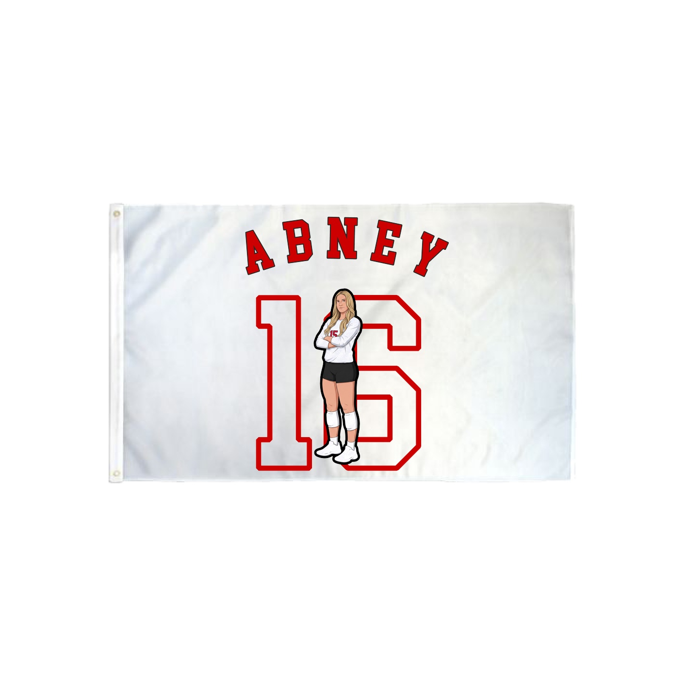 3x5 Flag — Shirsey Arch in Classic