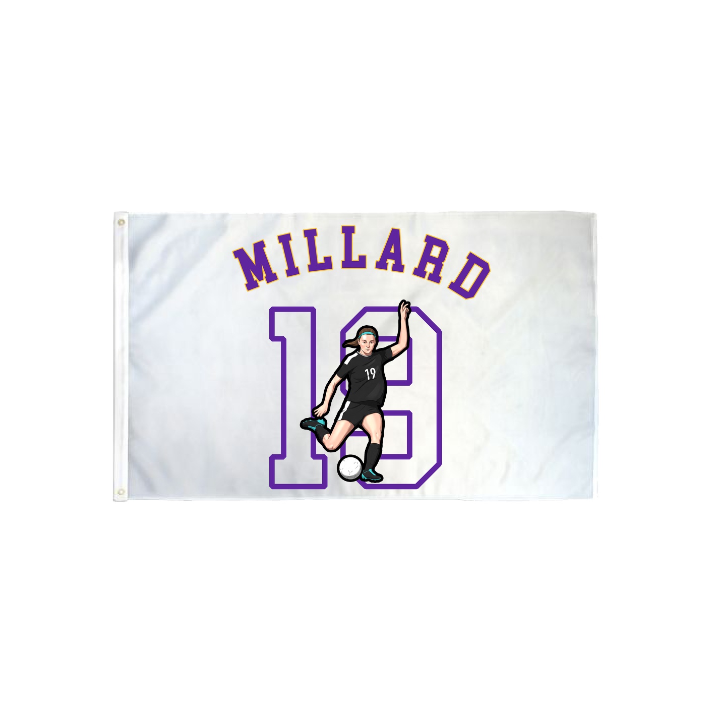 3x5 Flag — Shirsey Arch in Classic